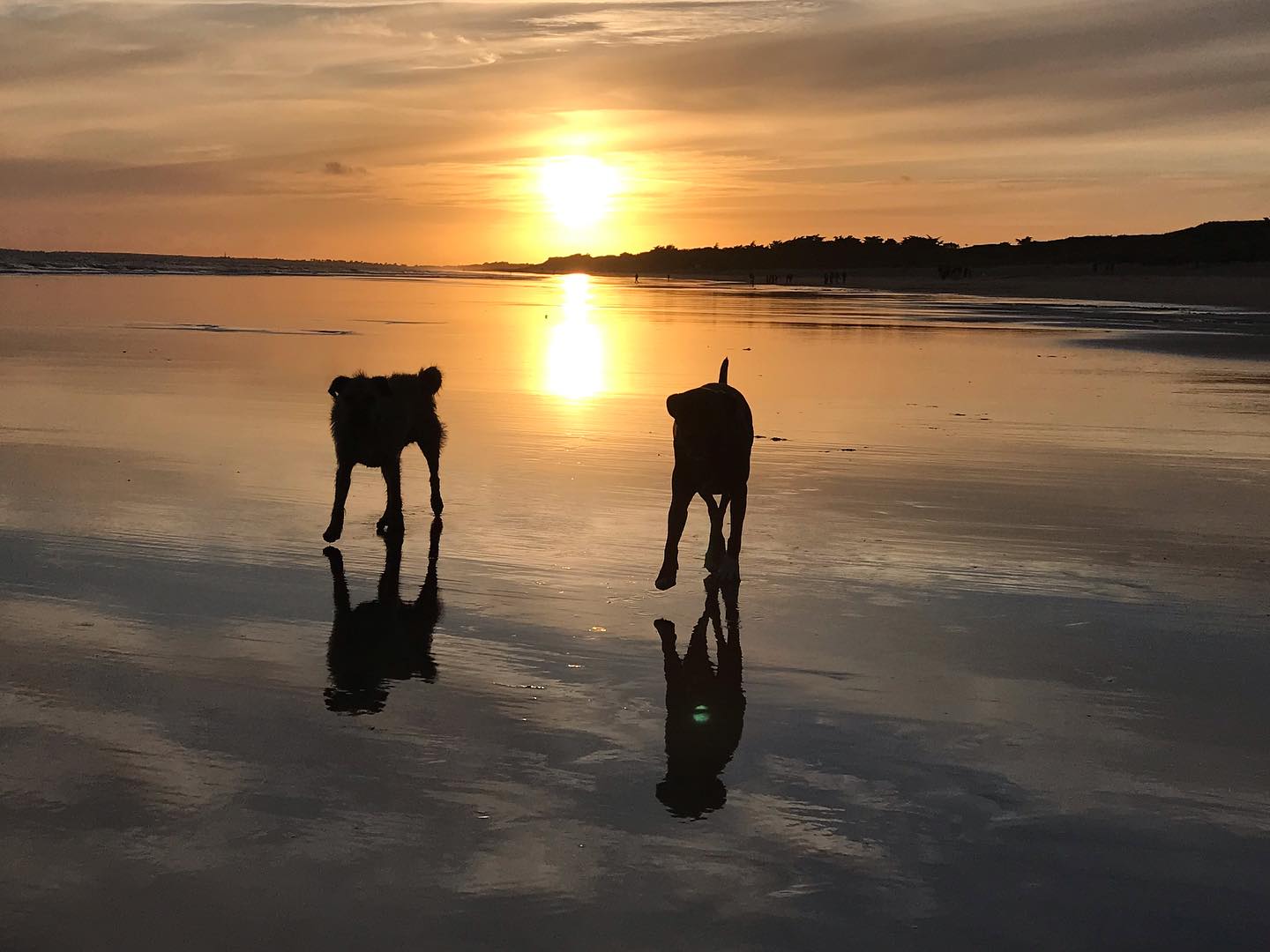 A cool Atlantic backdrop 💕💕💕💕