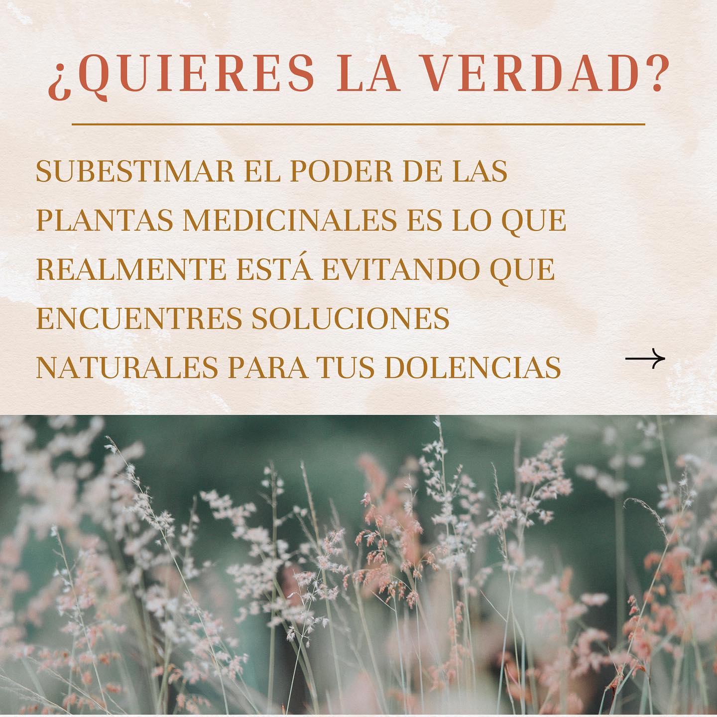 🌿Las medicinas herbales han sido utilizadas durante siglos para tratar una amplia variedad de enfermedades y dolencias.
🌿Aunque algunas personas pueden ser escépticas, la realidad es que muchas hierbas contienen compuestos bioactivos que pueden tener efectos beneficiosos en el cuerpo. Estos compuestos pueden ayudar a reducir la inflamación, fortalecer el sistema inmunológico, aliviar el estrés y mejorar la salud en general.
🌿Además, las hierbas medicinales suelen ser más suaves para el cuerpo que los medicamentos sintéticos, lo que puede reducir los efectos secundarios no deseados.
Checa nuestra página web donde encontrarás muchísimos remedios naturales, orgánicos y de alta calidad🌿🍃💚
#herbolaria #medicinaancestral #plantasmedicinales #soveraniaalimentaria #conocetusplantas #remedionatural #herbarista