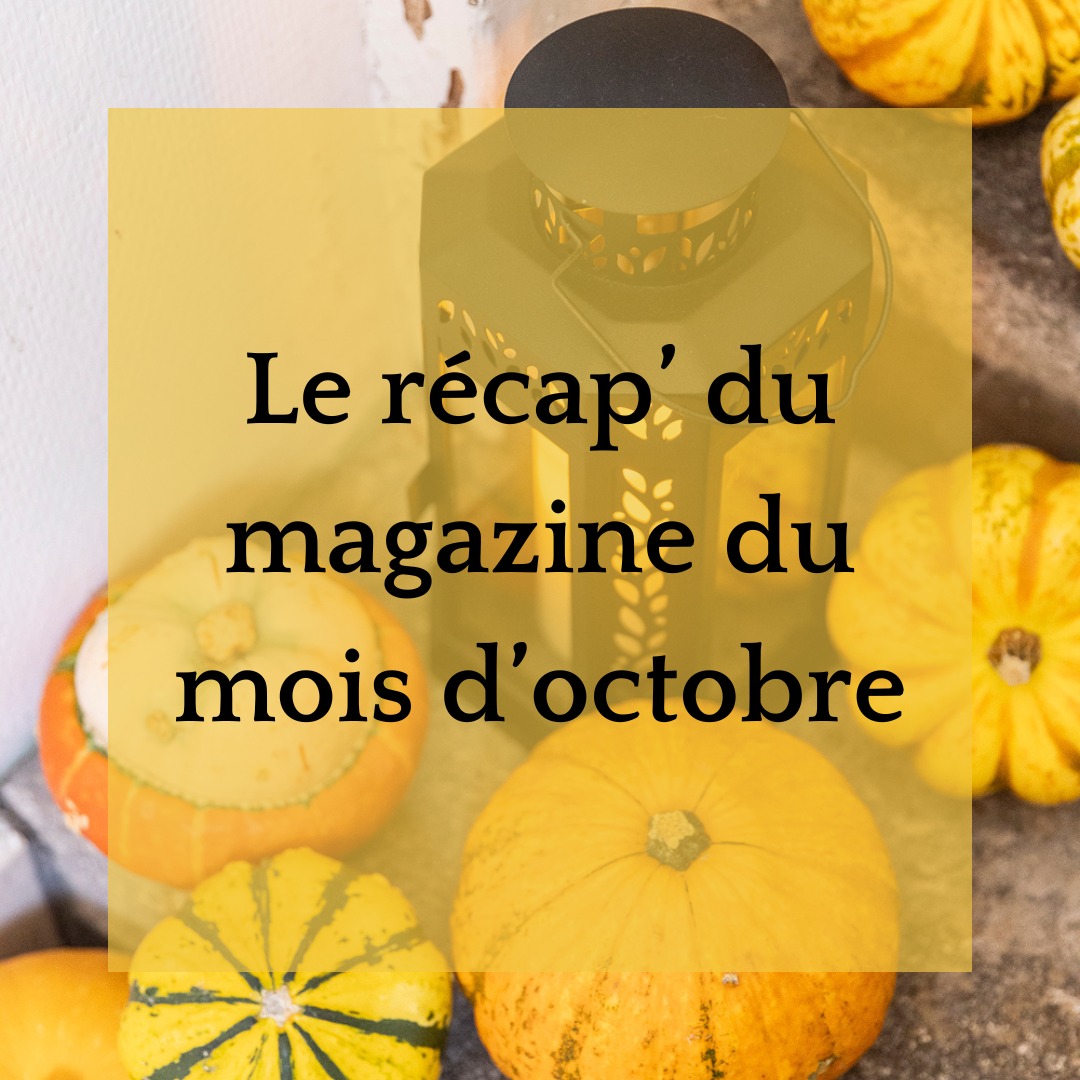 Le recap' du mois d'octobre
Quels articles sont déjà sortis ce mois-ci ?
🎃 Le dossier du mois : Décore ta maison pour Halloween sans changer de style.
🤓 La rubrique Focus : Comment fleurir ton intérieur en automne.
🍟 La sélection : Ta déco insolite, pas seulement pour Halloween.
👻 Le DIY : Ton coussin fantôme en macramé (sans nœuds, c'est super facile !).
🎤 L'interview : Rencontre Florine, artisane en macramé @accord_de_noeuds
💦 Le moodboard : Ta salle de bain sans carrelage @lespetitescarottesceramique
Et pour ceux à venir ? Hmm... je ne suis pas sûre de te le dire tout de suite ! Je vais patienter un peu, mais ils sortiront cette semaine... 😁😆😉🤐
Tu as lu combien d'articles toi ?
Reste connectée pour plus de surprises !
#Octobre #Déco #Halloween #DIY #Artisanat #inspiration
credit photo @mlleimage