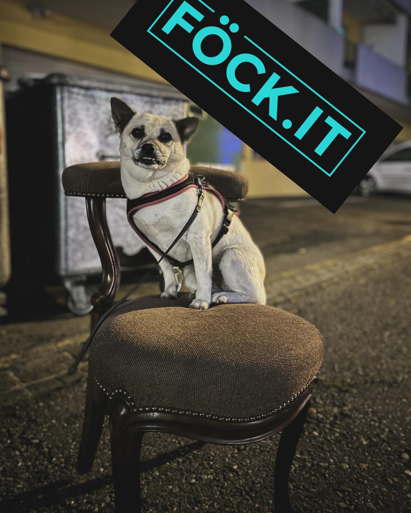 King of the castle…
FÖCK.IT
FÖCK.COM
FÖCK.APP
FÖCK.ART
FÖCK.AT
FÖCK.BAND
FÖCK.BAR
FÖCK.BEER
FÖCK.CH
FÖCK.CHRISTMAS
FÖCK.CLUB
FÖCK.COOL
FÖCK.DOG
FÖCK.FASHION
FÖCK.FR
FÖCK.HIPHOP
FÖCK.IT
FÖCK.JP
FÖCK.LI
FÖCK.ME
FÖCK.NET
FÖCK.ORG
FÖCK.RACING
FÖCK.ROCKS
FÖCK.SCHOOL
FÖCK.SE
FÖCK.SHOES
FÖCK.SHOP
FÖCK.SURF
FÖCK.TATTOO
FÖCK.TEAM
FÖCK.TOYS
FÖCK.TV
FÖCK.WORLD
FÖCK.WORK
FÖCK.XXX
FÖCK.YXZ
#humanity
#föck
#föckcom
#föckit
#föckno
#sayyestolife
#caferacer
#skateboard
#bmx
#harleydavidson
#surfing
#vespa
#ferrari
#tattoo
#helporhelp
#runningshoes
#ferrari
#porsche
#fails
#love
#football
#bodybuilding
#cars
#instagood.
#photooftheday
#fashion
#beautiful
#happy
#subaruforestersti
#forestersti