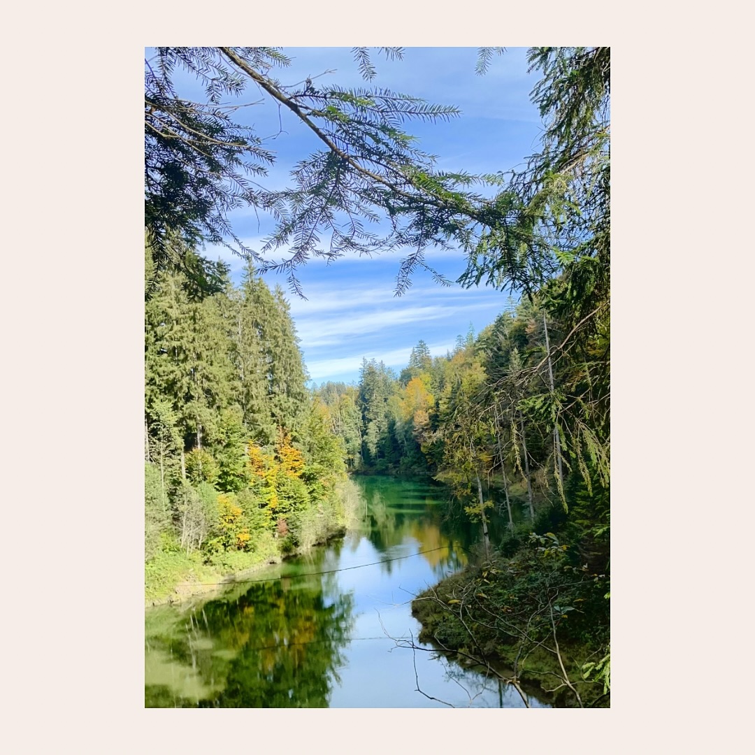 Guten morgen, ihr Lieben!
🌿 Neue Woche, neuer Impuls 🌿
„Im Fluss bleiben“
Wir müssen den Verlauf unserer Beziehungen nicht kontrollieren, ob es sich um Freundschaften oder um Liebesbeziehungen handelt.
Tauche ein in ein Fluss des gegenwärtigen Augenblick, den Fluss 🌊 des Lebens.
Lass dir vom Fluss helfen,
sorgsam mit dir umzugehen.
Lass dir helfen, Grenzen zu setzen, Entscheidungen zu treffen und dorthin zu kommen, wo du sein musst, wenn die Zeit reif ist.
🌿Sätze für DICH 🌿
Lass dich heute vom Fluss des Lebens tragen 💦
Lass die Dinge fließen💦
Das Leben ist ein fließender Kreislauf 💦
Startet mit einem Lächeln in den Montag,
Eure Katharina ❤️
#waldbaden #lebensfluss #gedankenzumtag #positievemindset #gutenmorgen #dankbarsein #yogainspiration #yogaliebe #allgäuliebe #bayernliebe #yoga