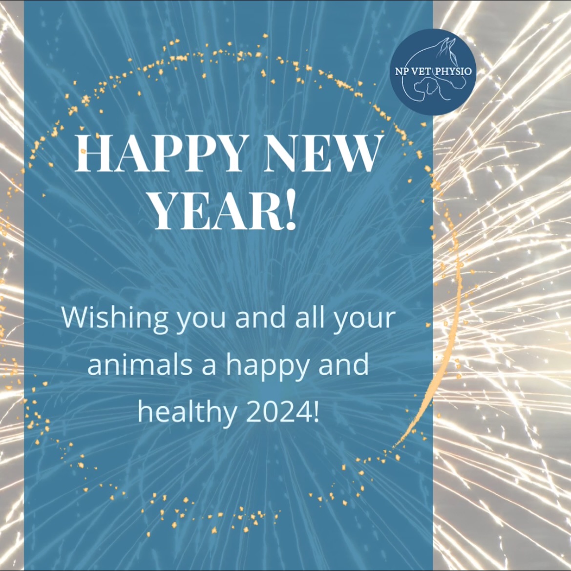 Now that I’ve finished for 2023 I just wanted to take a moment to wish you all a happy and healthy new year 🎊. Thank you for all the continued support, I have loved being part of all of your journeys and look forward to seeing you next year 💙
