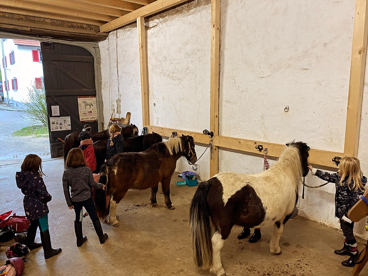Da wird fleißig gearbeitet: „Grundkurs Reiten“ ➡️ hier werden Grundlagen für den Reitsport vermittelt: Umgang mit dem Pferd, Pferdepflege, Satteln, Trensen, Sitzschulung, etc…. Kinder 6-8 Jahre