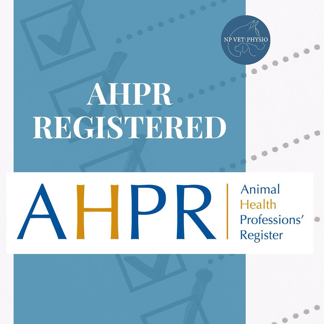 I am very pleased to announce that I am now AHPR Registered (Animal Health Professions’ Register) under the Animal/Veterinary Physiotherapy group ✅.
The AHPR is a register for professions that provide services for the treatment of animals. This register aims to raise industry standards and assists owners / vets in ensuring any professionals used are suitably trained and accountable 🎓✅.
Simply put, by using a professional registered with the AHPR you can be sure that they are suitably qualified, insured, use evidence based techniques and always keep up to date with training and development ✅.
📖 Read more about the AHPR and it’s members here: www.ahpr.org.uk
.
#vetphysio #npvetphysio #ahpr #navp #equinephysio #caninephysio #dogphysio #horsephysio #dogsofinstagram #horsesofinstagram #horses #equinerehab #caninerehab