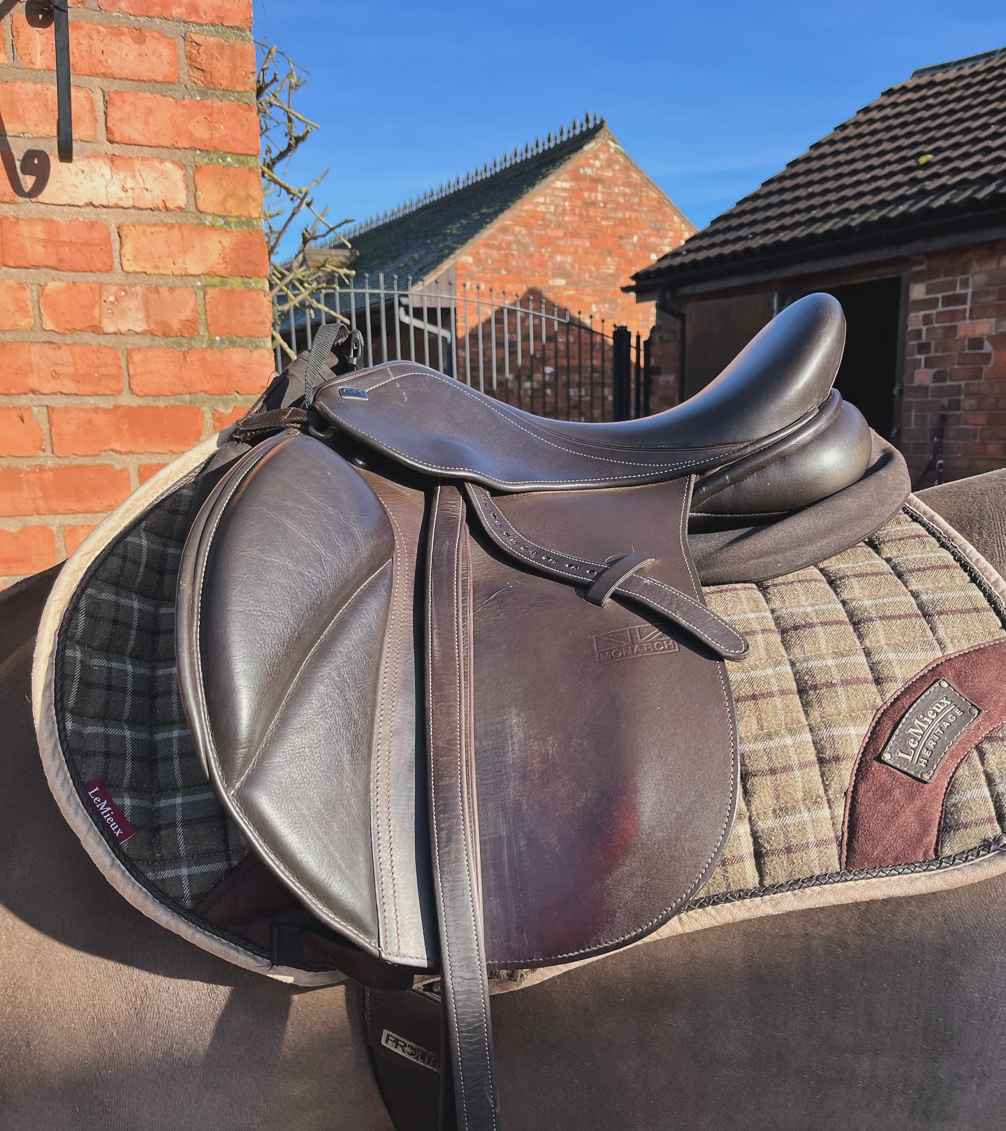 When was the last time you had your saddle fitted? 📆
Saddles should be regularly checked, at least 6 monthly and if there have been significant changes to your horse’s shape - this includes weight AND muscle gain/loss ⚖️.
You can find a qualified Master Saddler here: https://www.mastersaddlers.co.uk/members/ ✅
#vetphysio #npvetphysio #equinephysio #horsephysio #mastersaddlers