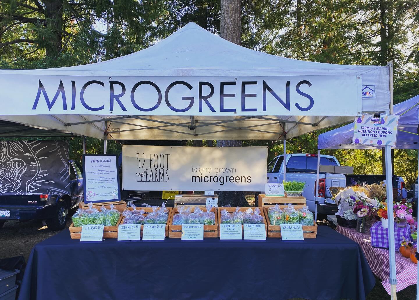 It’s a crisp Fall day @cedarfarmersmarket
We will not be attending @cedarfarmersmarket in October but you can find us at our year-round markets:
@islandrootsmarket
@qbfarmersmarket
And purchase our greens @nesvog_meats
