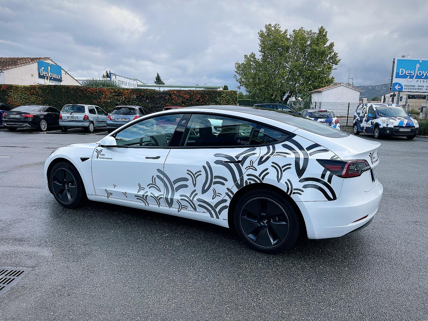 La Palmicar est arrivée ! Merci à #gambus pour la déco !