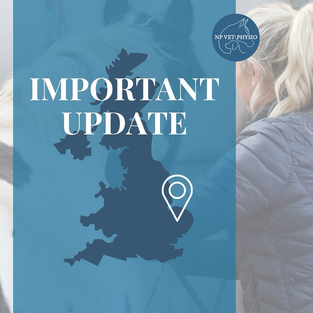 ⚠️ Important Update! All current and previous clients have been emailed with information - if you have not received this please check your junk folders ⚠️
📍A major life decision for me - NP Vet Physio will be relocating within the next couple of months from the East Midlands to Norfolk to pursue a new adventure there (a new house and wedding anyway, TBC on the rest of the adventure)! Appointments will still be available in the East Midlands so please read on for information.
********************
⚠️ EXISTING CLIENTS - FUTURE APPOINTMENTS ⚠️
📍I will be returning to the East Midlands on a regular basis for appointments. Therefore, I will still book appointments for animals where this treatment timescale is appropriate / those needing infrequent physio, so please do continue to get in touch as I would love to keep helping! 🤍
📆 Appointments will be offered over a set couple of days every month which will be available to book in advance. Existing clients will be prioritised for these slots. There may, on occasion, be additional dates available, but these will be offered on an ad-hoc basis.
⚡️ Hire of electrotherapy machines will also be available for additional support between appointments (where appropriate).
********************
⚠️ NEW CLIENTS ⚠️
I will continue to take on new clients in the East Midlands where treatment timescales will be appropriate.
Remember, I offer a "Refer a Friend" scheme where I take £5 off your next appointment if a new client books in from your recommendation!
********************
⚠️ NORFOLK APPOINTMENTS ⚠️
Appointments will be available from February onwards - please get in touch for more info and/or to book in!
🌐 www.npvetphysio.co.uk
📧 nickie@npvetphysio.co.uk
📞 07772292461
#npvetphysio #vetphysio #veterinaryphysiotherapy #caninephysio #equinephysio #dogphysio #horsephysio #dogsofinstagram #horsesofinstagram #northnorfolk #eastmidlands #ruralbusiness