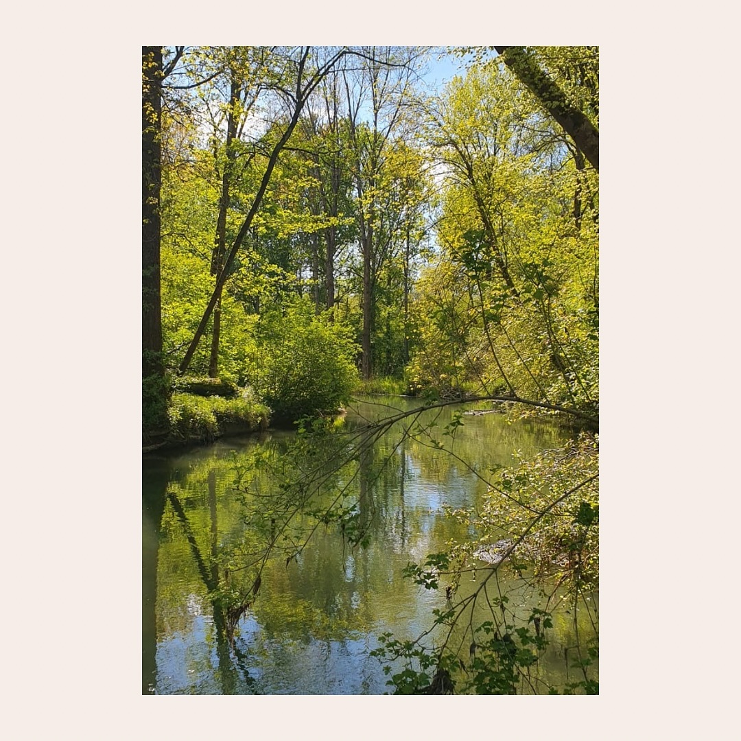Hallo zusammen!
🌿Neue Woche, neuer Impuls🌿
„Vertraue dem Fluss des Lebens“
Vertrauen in das Leben ist nicht immer einfach.
Unser Geist will Sicherheit, die Seele neue Inspiration.
Sich dem Neuen, Unbekannten zu öffnen,
löst nicht selten Angst aus.
Dabei ist das Festhalten am Alten einer der Methoden, Leid ins eigene Leben zu bringen.
Zu lange, habe ich selbst in einer Beziehung festgehalten und versucht zu kontrollieren,
was nur Leid verursacht hat.
Wir sind hier, um Erfahrungen zu machen, zu wachsen und bewusster zu werden.
Wie ist es bei dir?
Vertraust du schon dem Fluss des Lebens?
Habt einen schönen Tag, eure Katharina
#waldbaden #waldgesundheit #waldliebe #naturfoto #naturcoaching #naturfluss #bach #natursee #waldsee #yogainspiration #yoga #bewusstleben #bewusstsein #flussdeslebens #trust #bayernliebe #augsburg #donauwörth #ingolstadt #neuburg #rainamlech