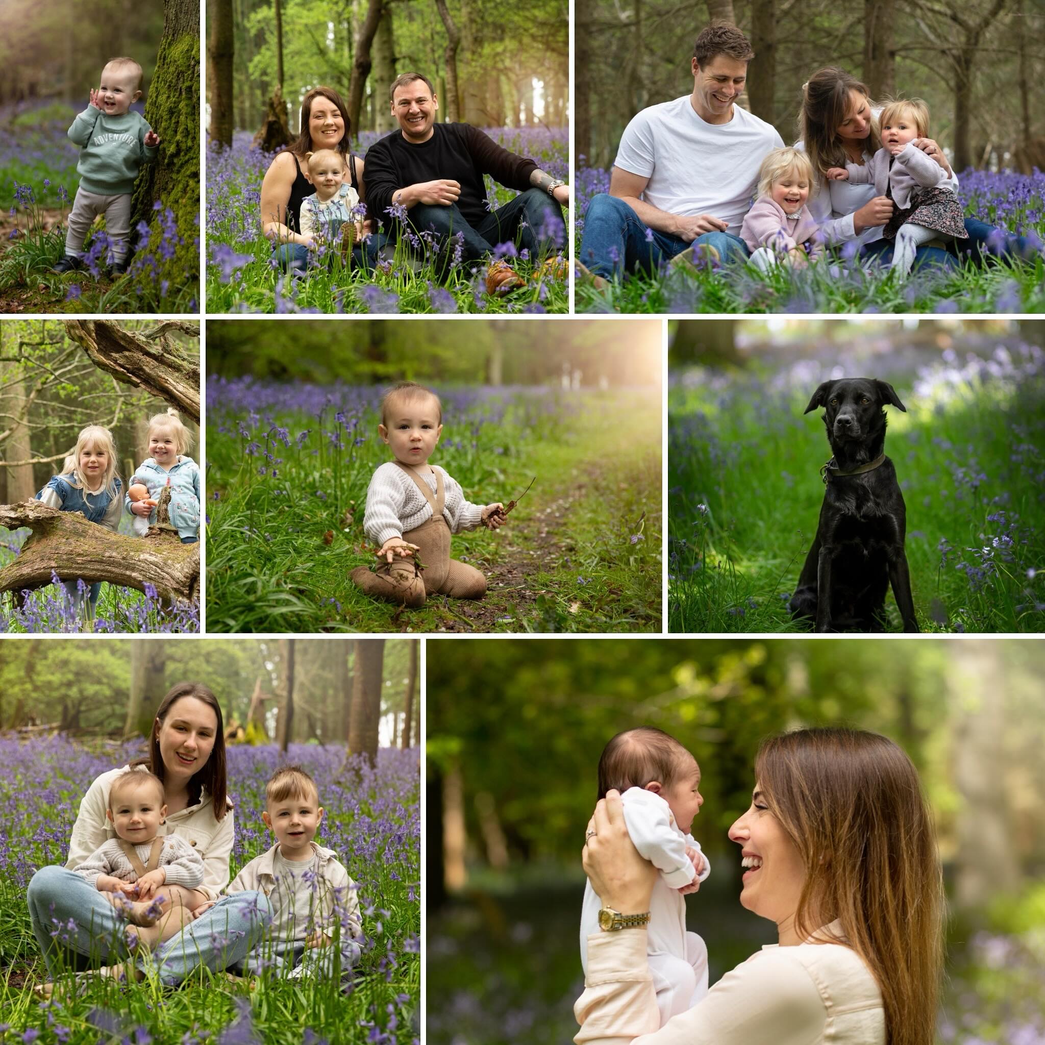 The ☀️ is out today and I am excited to announce my bluebell session dates.
• Saturday 4th May
• Sunday 5th May
30 minute session for one family unit (well behaved doggies 🐕 are welcome too)
Option 1: £60 session & 1 high res edited image
Option 2: £179 session plus all 15 high res edited images
Please drop me a message for more info or to book a slot.
#sjrichardsonphotography #bluebellminisessions #familyphotographer #woodlandshoot #oxfordphotographer
