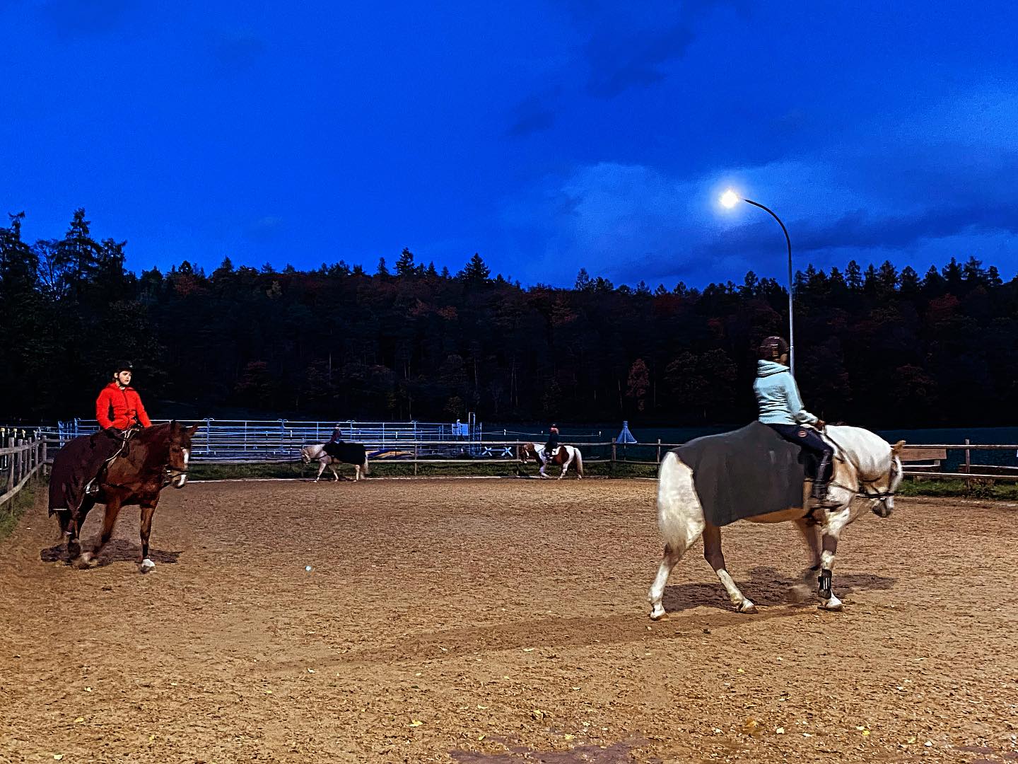 Im Dunkeln ist gut … #Reiten