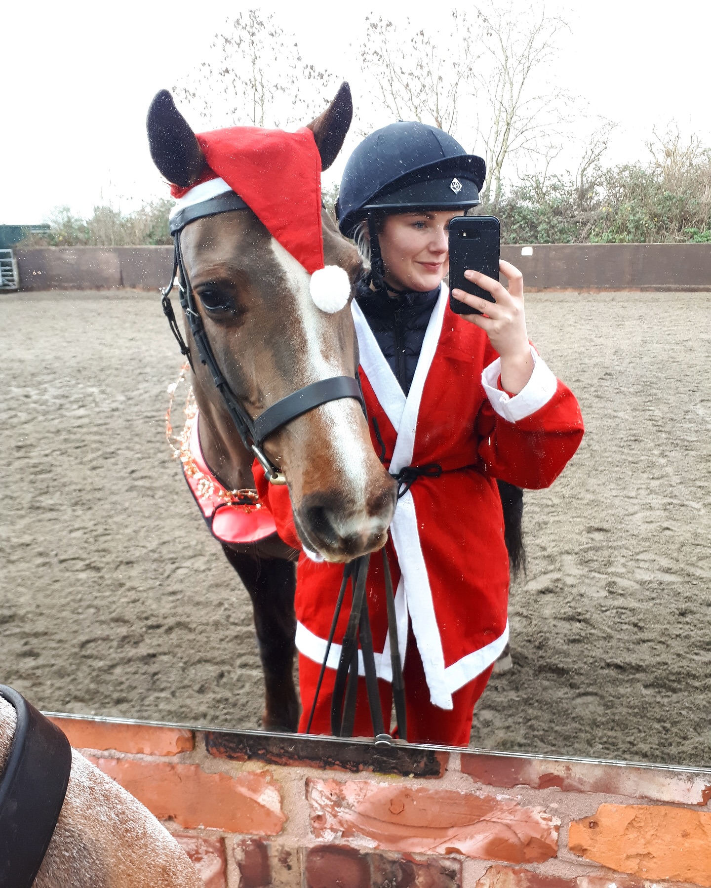 An oldie but goldie - Merry Christmas all, love from NP Vet Physio! 🎅🏼🎄