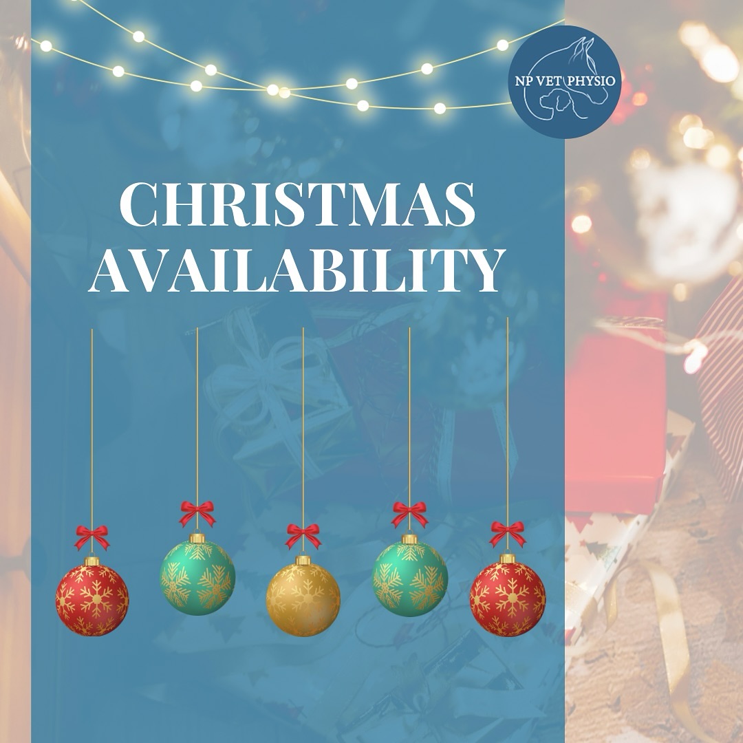 ๐Christmas Availability ๐
๐
๐ผ I will be working as usual until Friday 22nd December (inclusive).
๐
๐ผ Appointments will be available on Wednesday 27th December afternoon / evening for existing patients.
๐
๐ผ I will then be taking a break until Wednesday 3rd January where normal hours will resume.
๐
๐ผ Appointments in December are now limited so please get in touch sooner rather than later if you need one and are not currently booked in.
๐ P.S. Did you know that gift vouchers are available again this year for customisable amounts - perfect for stocking fillers for your furry friends ๐
#vetphysio #npvetphysio #caninephysio #equinephysio #eastmidlands #norfolk