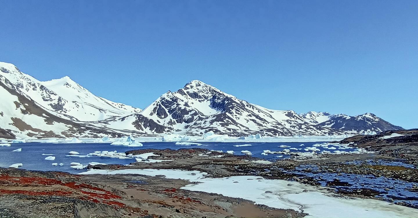 The east coast of Greenland has to be the most beautiful place I’ve ever seen so you all get a photo dump. Sorry. 😜
Everyone should see this place if they can. Nature pulling out all the stops in every direction. 🤩🗻❄️🌺🌊
#tasiilaq #greenlandpioneer #greenlandcrossing #naturalbeauty #iceburg #fsgs #kidneytransplantrecipient