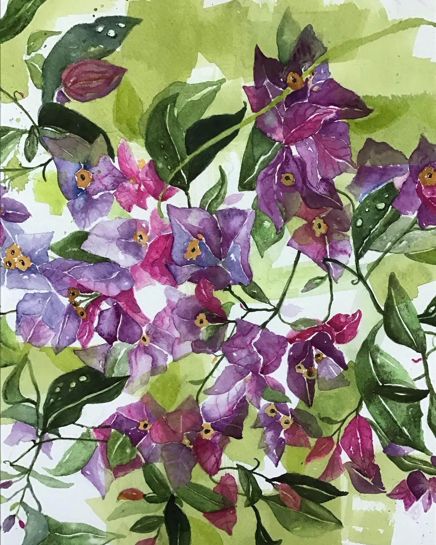 There’s such joy in bright colourful flowers, don’t you think? 💜🩷💚
Bougainvillea Surprise 30x30cm, watercolour on Arches 300gsm.