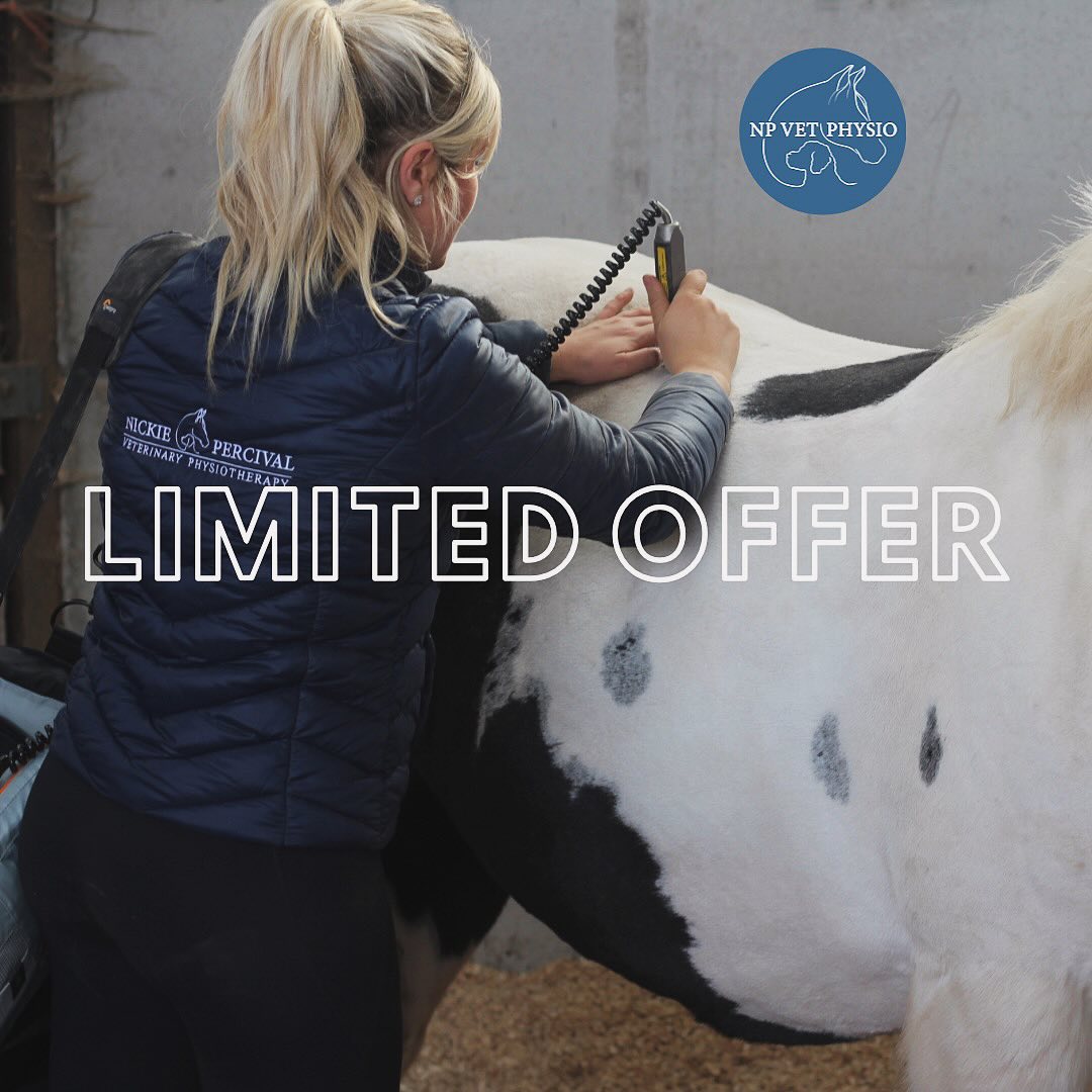 💰 FEBRUARY OFFER 💰 To share the love this Valentine’s Day I am doubling my existing offers for anyone that shares this post 💙💙.
This means that for groups of 3 or more animals booked for the same date you get £10 off per animal, and £10 off your next appointment for each new client that books in from your recommendation 😮. These offers can also be combined to really share the love!! 💙
Doubled offers will be valid for any appointments booked in by the end of February (appointments can be held in February or March, either in the East Midlands or Norfolk).
#vetphysio #npvetphysio #caninephysio #equinephysio #eastmidlandsvetphysio #norfolkvetphysio #horsesofinstagram #dogsofinstagram #caninerehab #equinerehab #navp #ahpr
