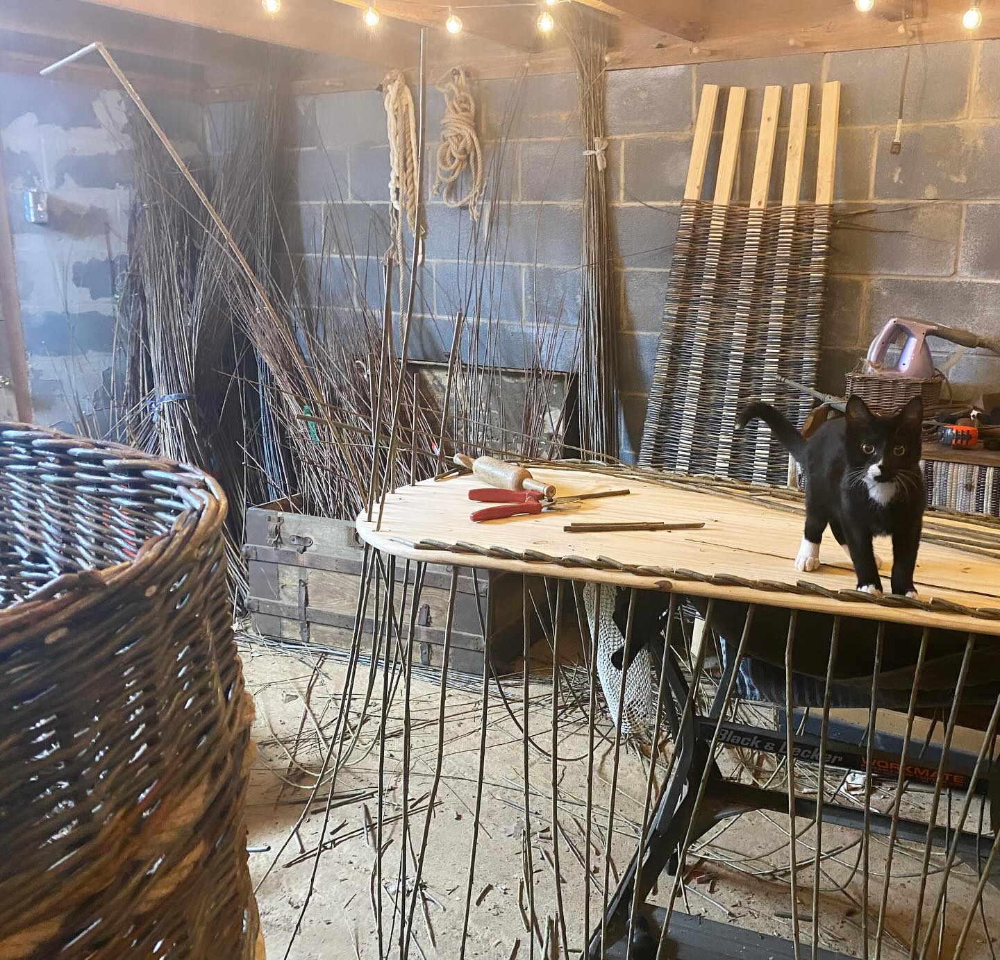 Friday night lights—if you need me I’m weaving caskets with my kitten.
#getdowntonight #wildnights #willowcasket #workshop #wherewomenwork #handwoven #farmlife #willowbasketweaving #weaversofinstagram #fridaynightlights