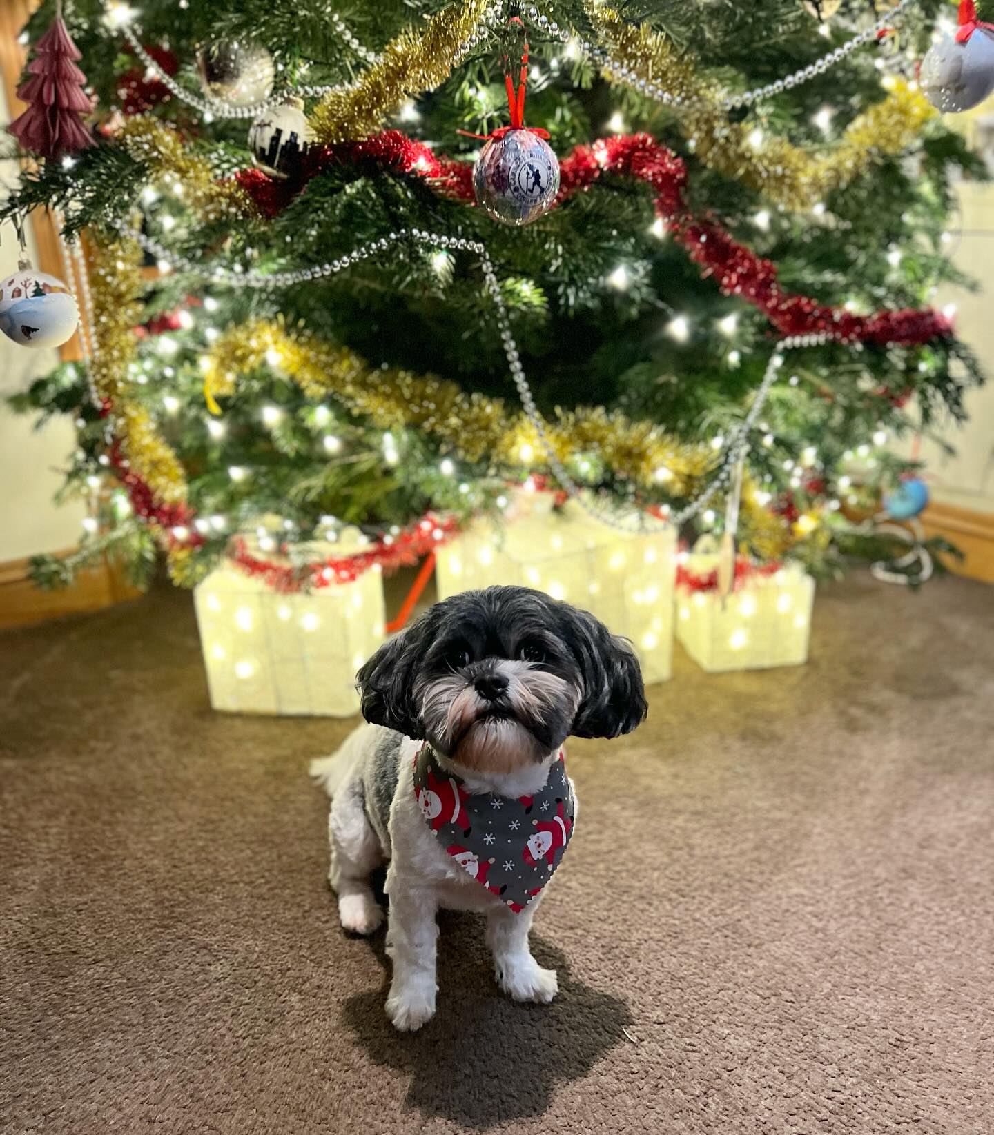 All finished for Christmas 🎅🏼 Huge thank you for all the lovely cards and gifts I’ve received🩷
I hope you all have a lovely Christmas and a very happy New Year✨