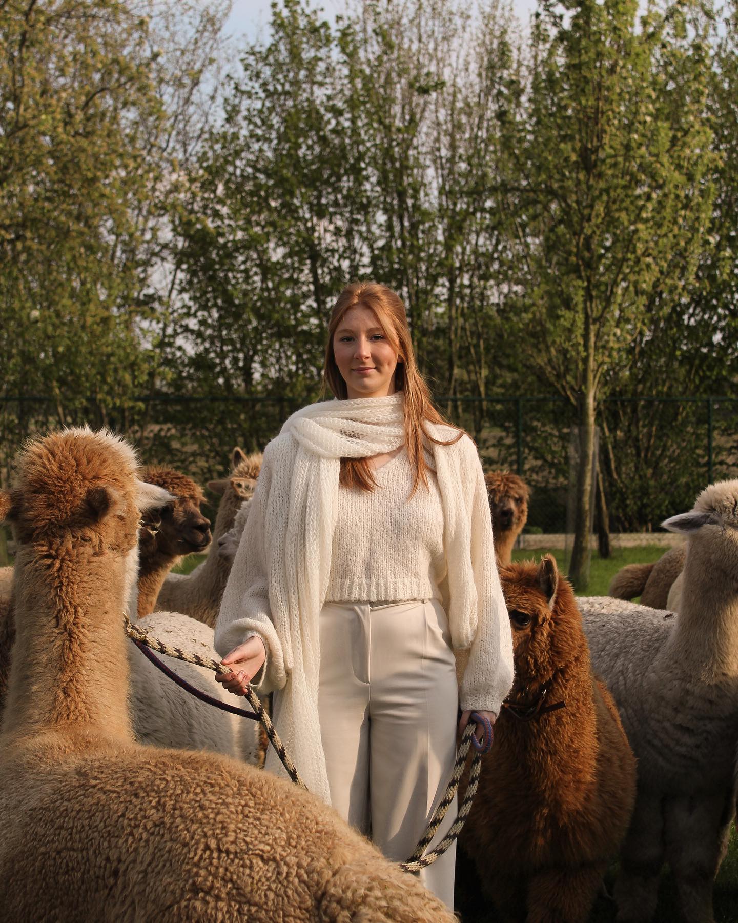 Winter White 🦙❄️💭