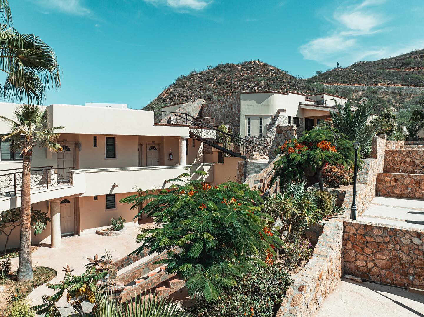 A unique boutique experience awaits you ✨ book with us today !🙌
📸 @stan_liniarski
#boutiquehotel #hotelsincabo #blarneycastle #castilloblarneyinn #cabohotel #boutiquehotelcabo #placestostaycabo #cabo #cabosanlucas #loscabos