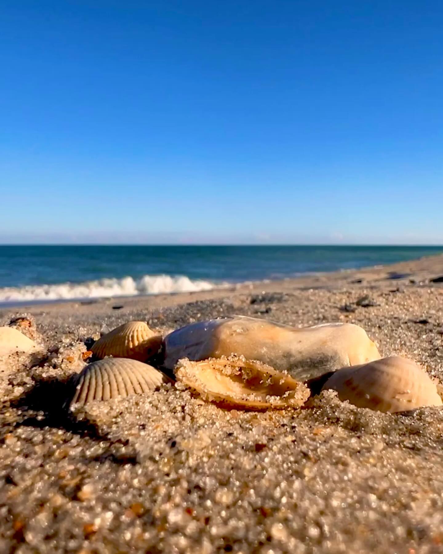 College applications can feel overwhelming, but remember—your well-being comes first. Take a moment to pause. Let the sounds of the waves remind you that it’s okay to step back and breathe. Success starts with self-care. When you prioritize your mental wellness, you’re better prepared for whatever challenges come your way. So, today, give yourself permission to recharge. You’ve got this!
#CollegeBound #MentalWellnessMatters #SelfCare #Breathe #Focus #BeachVibes #CollegeBoundCoaching