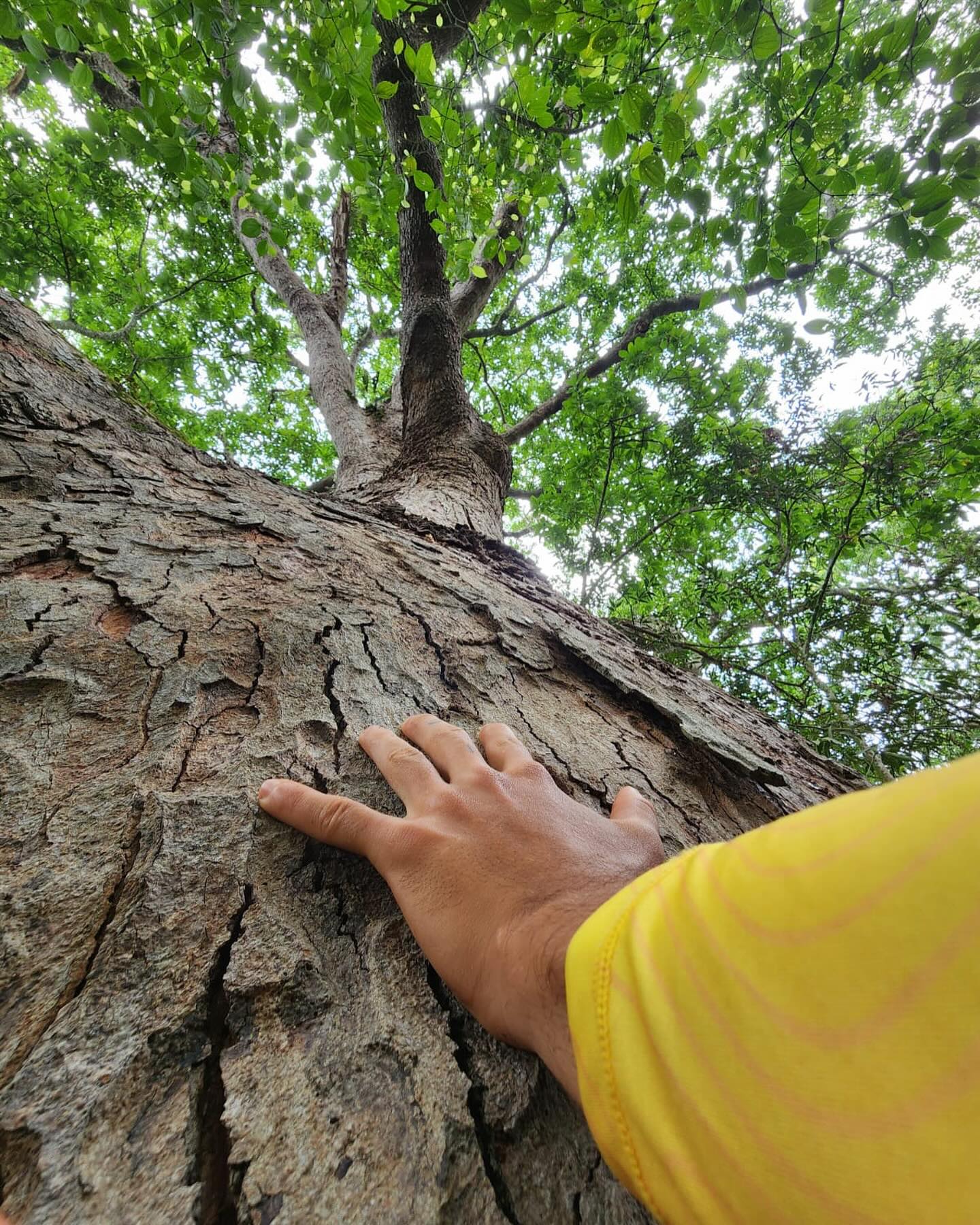 Somos hijos de lo mismo y todo esto que pasa solo nos hacer saber -una vez más- que estamos de turno en este planeta. Por ahora… honrar la existencia siendo fieles a nuestra verdad… ser felices sin dañar a otros, por ejemplo, nosotros somos felices caminando, corriendo y escalando en la montaña😓
.
Ánimo y una vez más #todosalamontaña 🫂🏜️