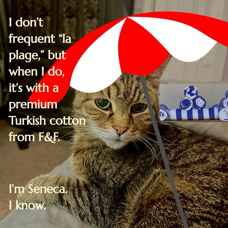 Would you take advice from the most interesting cat in the world?
*
🇫🇷 @journaldeluxe and @elle__magazine would.
*
Come shop Turkish towels, robes, and coverups with @fox_and_frog_apothecary .
Shop the runway so you can stay off trend and look like #money @leikeli
#caturday #saturday
#turkishcotton
#westchesterpa #northcoventry #royersford #BirdsboroPA #chestersprings #springcitypa #downingtownpa #phoenixvillepa #pottstownpa #pottsgrove #elversonpa #extonpa #malvernpa