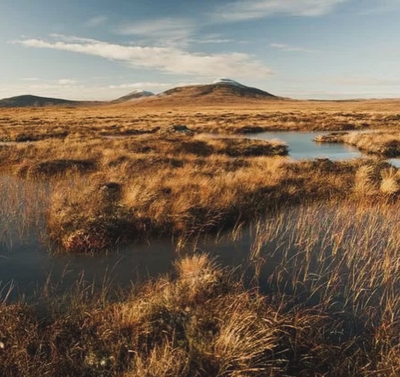 Very excited to share that the Flow Country near us was, this week, awarded UNESCO World Heritage Site status for its globally important ecosystem quality. It is the most expansive and best example of peatlands and blanket bog in the world, and joins the Serengeti, the Galapagos Islands and the Great Barrier Reef in securing this status. 💚🏴🇺🇳
The Flow Country is a vast peat bog that covers much of Caithness in the north of Scotland. It hosts a diverse range of specialist plants and wildlife that have evolved to live in this environment and stores 400 million tonnes of carbon formed as vegetation rots and turns to peat. This is more carbon than all the UK’s forests and woodlands combined. And, on top of that, It is also an internationally important place for wildlife, including birds like red-throated diver, golden plover and greenshank.
#exclusiveholiday #visitscotland #familygatherings #dunnethead #luxuryscotland #dunnethead #houseofthenortherngate #scotishhighlands #caithness #activeholiday #flowcountry #unescoworldheritage #peatland #carbonsink #wildlife #birdwatching #greentourism