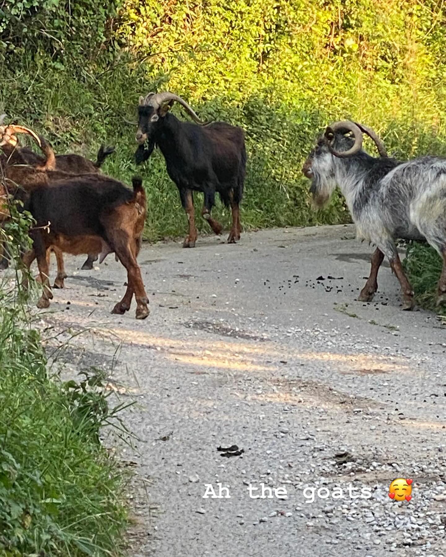 Day #9 arrived in Laredo after a very long day and had my first experience staying in a monastery. The nuns and the brothers were lovely and served us a very nice breakfast in the morning. All for 10 euros 😊