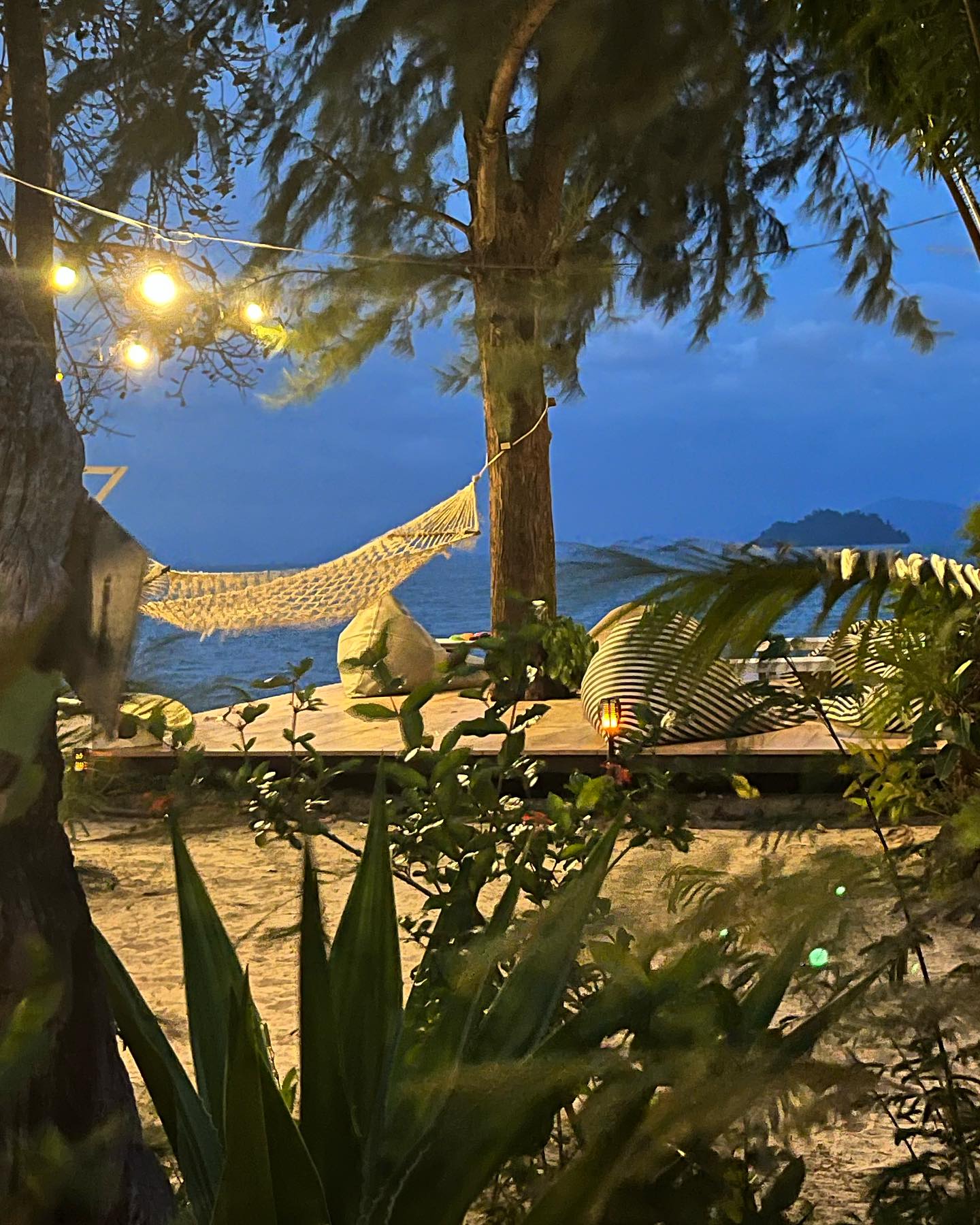 Settling in nicely…Wowsers its hot….
Thai curry was amazing…tofu, vegetables, yellow Thai, cashew nuts..sticky rice 🦐🦐🦐🦐🦐🦐