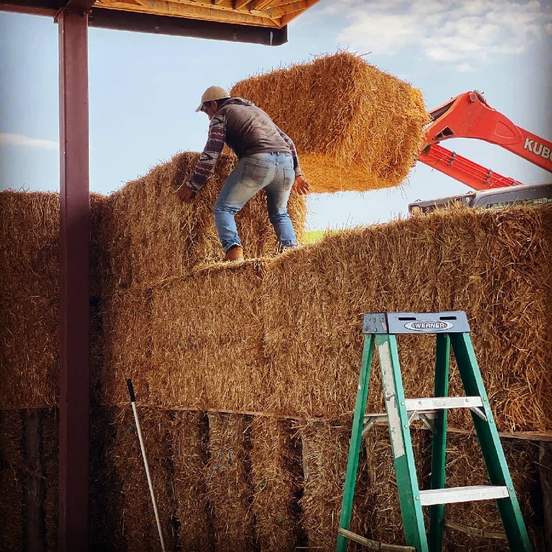 3-foot wide mega-bales go in like Legos! #instawall #strawbale #megastrawbale #naturalbuilding #speedy
This building will store bottled wine at @blackanklevineyards and need almost no energy to stay as cool as a #winecellar
And the beauty is that 2 regular strawbale = the width of the mega-bales, so it's easy to infill tops & bottoms as needed 🙃
#ilovemyjob #naturalarchitecture #buildlikeagirl