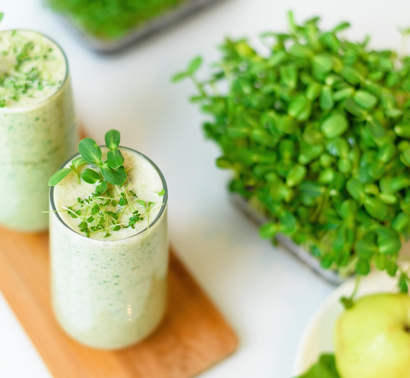 Lägg till en solig twist på dina smoothies! 🌱
Visste du att solrosskott är ett enkelt och supergott tillskott till dina smoothies? 🌻💚 Dessa små näringsbomber är packade med vitaminer, mineraler och protein – perfekta för att boosta din energi och ge dig en fräsch start på dagen! ✨
Bara en näve solrosskott i din smoothie bidrar till att göra den extra näringsrik. 🌱🥤
#Solrosskott #smoothie #nyttogrönt #närodlat #svenskodlat #groddar #skott #mikrogrönt