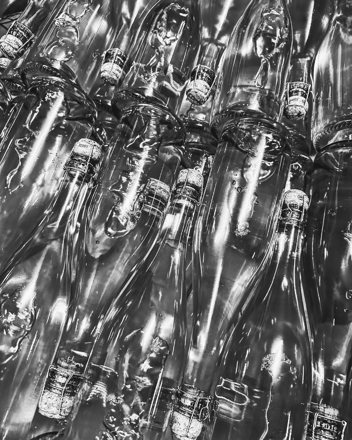 Flaschen über Flaschen 🍾 Die traditionelle Jännerbeschäftigung: Degorgieren! 🌞 #huglsprudel #bubblesagainsttroubles #wetjanuary