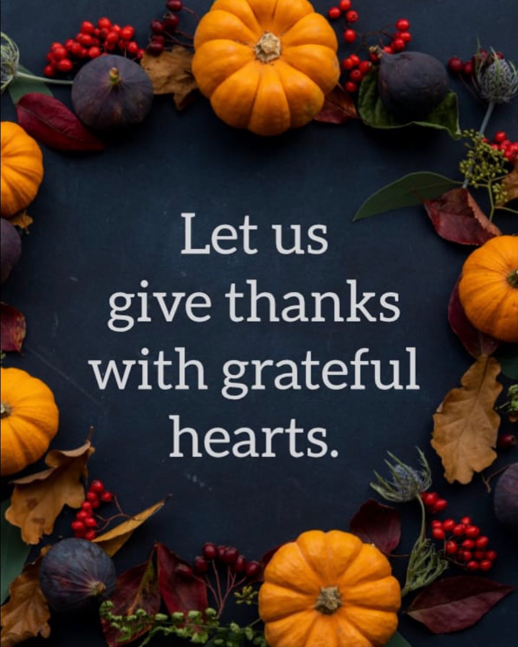 Happy Thanksgiving to everyone!