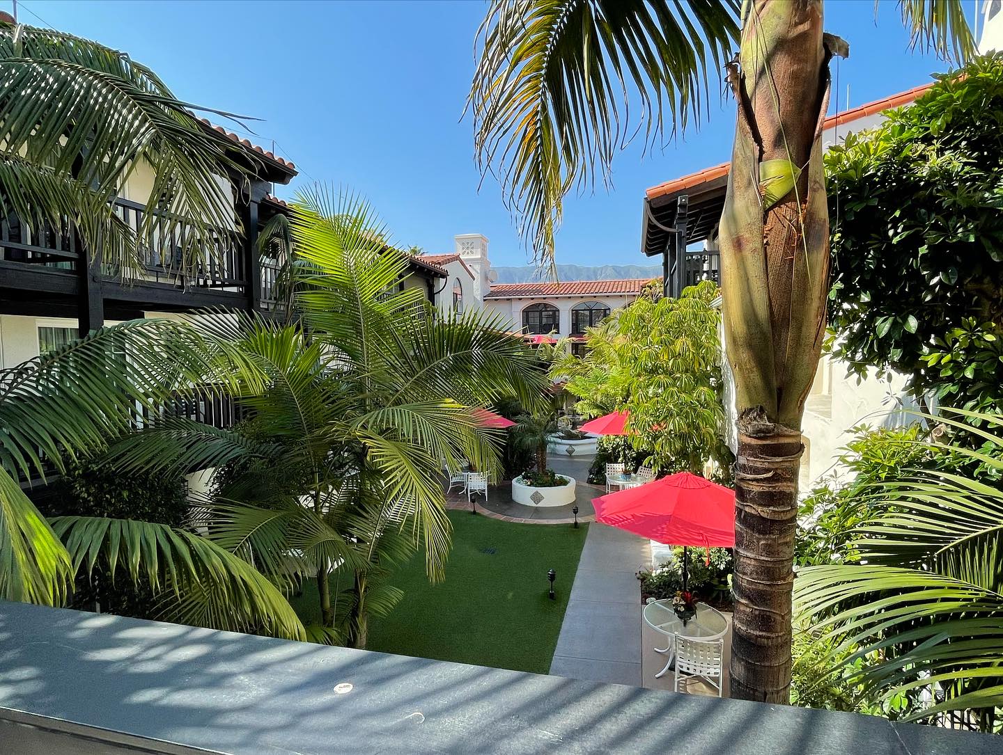 ~2023~ Pt. 3
#theater #sanfrancisco #legendofzelda