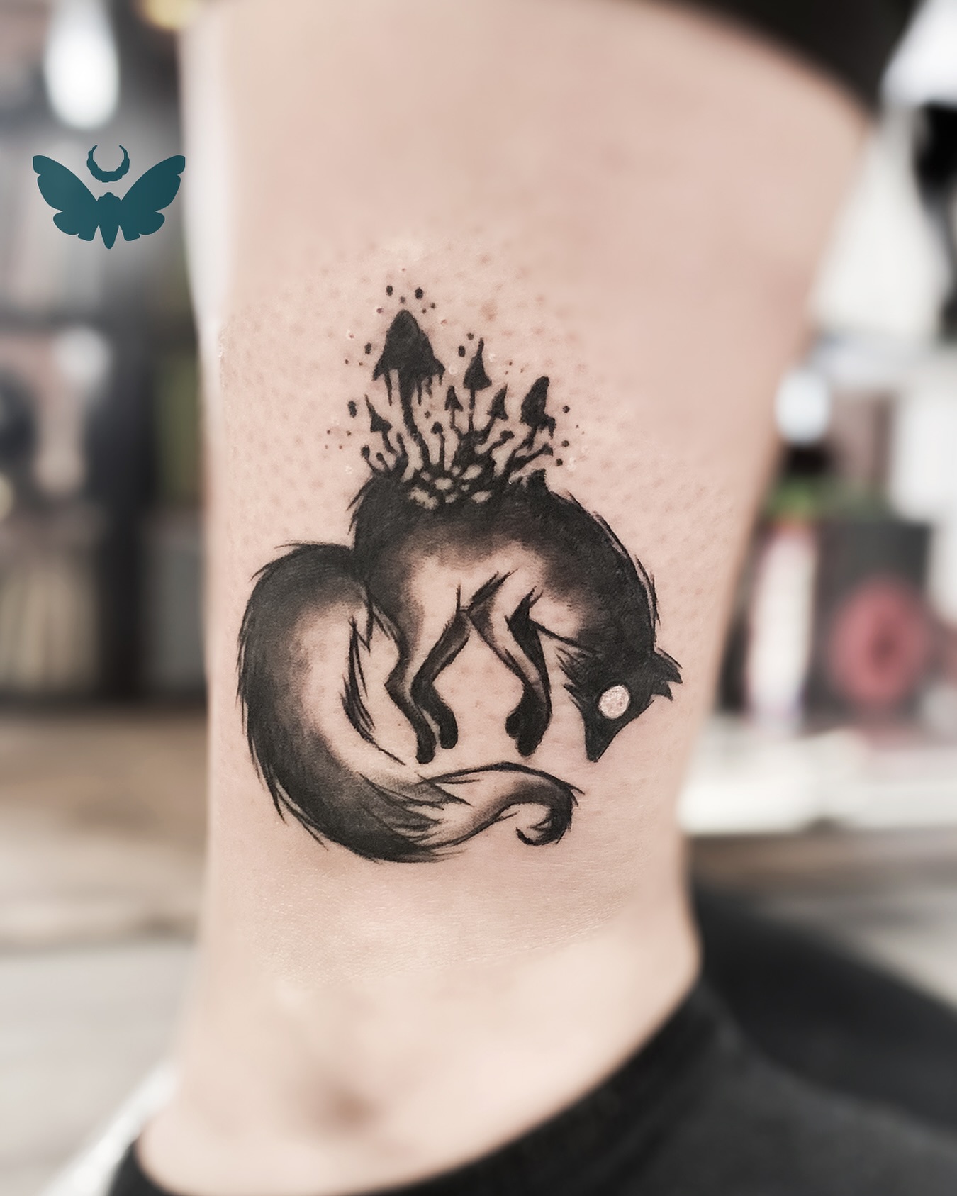 Merci d’avoir adopté ce flash 🦊
Envie d’un style un peu sketchy? Retrouvez mes autres flash du même genre dans la bulle « projets dispos »✨
.
Je réponds à vos questions et vos demandes de RDV en MP par mail ➡️ topazie.tattoo@gmail.com ou en ligne ➡️ topazie.setmore.com/beta
.
.
#swisstattooartist #swisstattooers #swiss #fox #foxtattoo #lausannetattoo #topazie