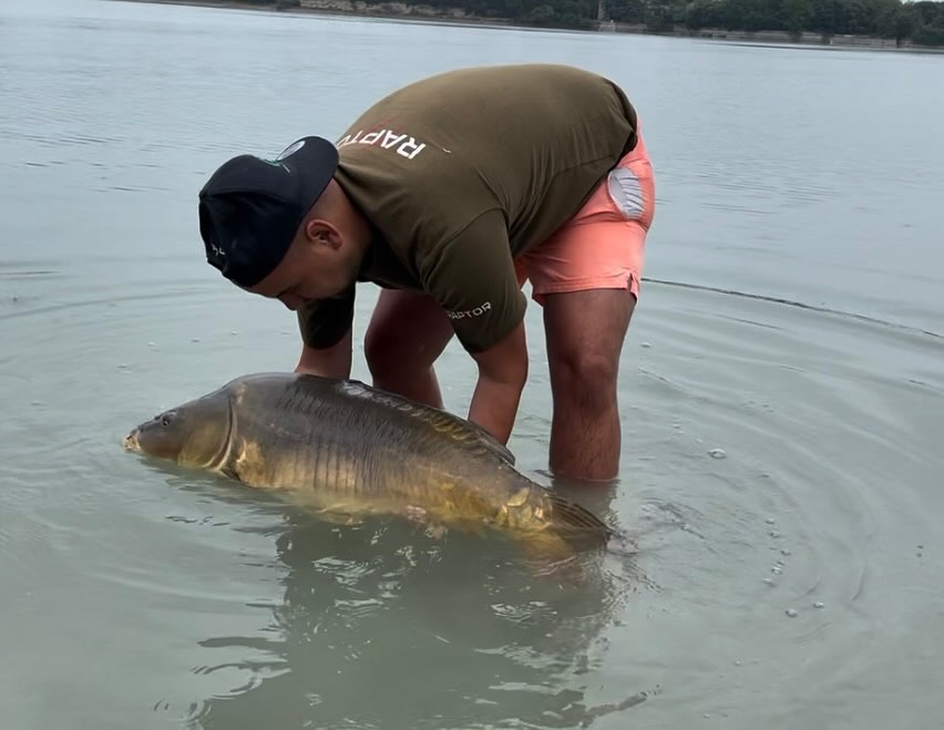 De zomervakantie☀️ staat voor de deur! Een periode waar vele erop uit zullen trekken om lekker met familie op vakantie te gaan en af en toe een hengeltje uit te werpen of met maat een dikke zomersessie te draaien🎣.
Zorg dat je je aas tijdig besteld zodat je goed bereid op pad gaat.
Hieronder een dikke spiegel die tijdens een korte ochtendsessie de sweet squids🐙 niet kon weerstaan.
www.mysterybaits.nl
#sweetsquid
#spiceysquid
#capiste
#carpangler
#karpervissen
#routedusoleil