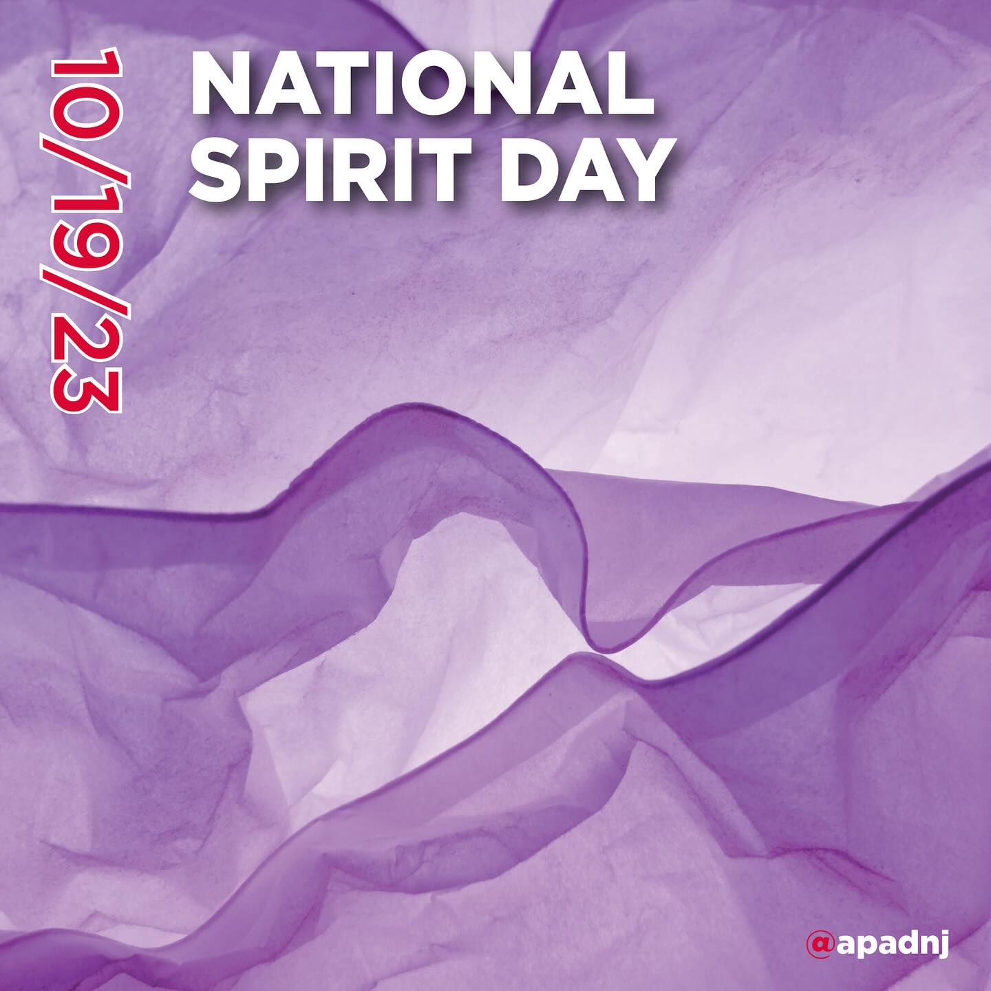 National Spirit Day, the most prominent day of support for LGBTQ youth, was started in 2010 by Brittany McMillan, who wanted to take a stand against bullying and remember gay teens who had died by suicide, in order to increase awareness and acceptance and to prevent more tragedies. This was at a time of heightened media focus on the suicides of gay teens, and the death of Tyler Clementi directly inspired the creation of the holiday. The day is led by GLAAD, who on the first year helped to get teachers, students, workplaces, media outlets, and celebrities to wear purple and to "go purple" on social media. Today, participants include a wide range of people and groups—schools, students, and parents; corporations and organizations; media professionals; celebrities; faith groups; sports groups; and more. The day is held on the third Thursday in October each year, during National Bullying Prevention Month.
LGBTQ youth disproportionately face bullying and harassment on account of their identities. Most are verbally harassed, have felt that incidents of bullying weren't addressed after they reported them, have heard homophobic remarks from teachers and school staff, and feel unsafe at school because of their sexual orientation. Those participating in the day speak out against bullying and stand with LGBTQ youth, to show their commitment to ensuring that youth are able to live their lives safely and authentically. Purple is the color on the rainbow flag that symbolizes spirit, and by "going purple," participants in the day visibly show their solidarity with LGBTQ youth.
#nationalspiritday