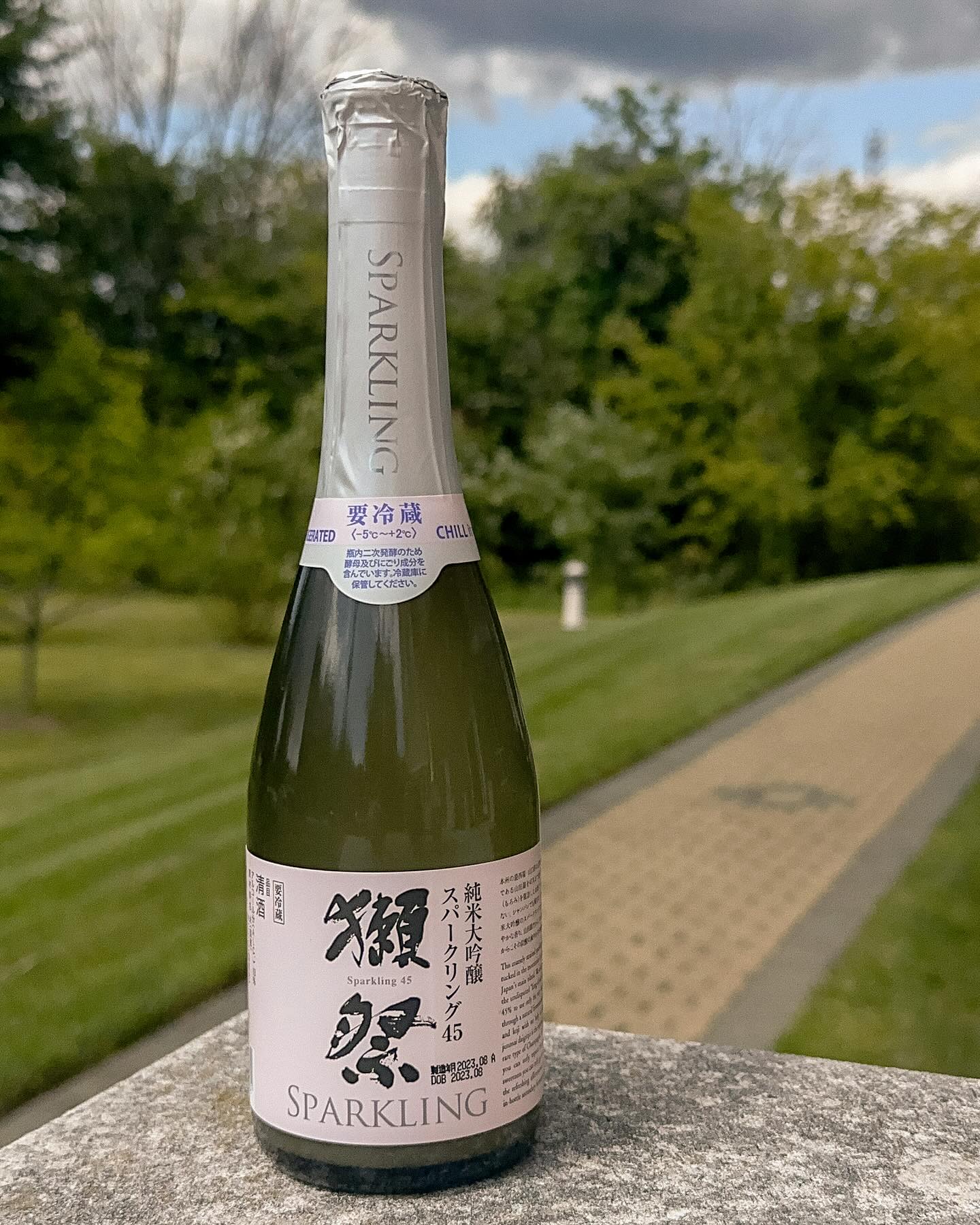 “Effervescent Elegance: Discover the Sparkling Sophistication of Dassai 🌸🍶”
Dassai 45 Sparkling Nigori Junmai Daiginjo - Yamaguchi, 🇯🇵
I have been fascinated with sparkling sakes ever since returning from my trip to Japan back in March. Today I present Dassai’s offering. I wanted to put this bottle to the test by pairing with a wide range of food at @ryujin_sushi
This bottle is made entirely of Yamada Nishiki rice milled to 45% and utilizes a unique blending of techniques. First the sake is made with highly polished rice, designating it a Junmai Daiginjo. Secondly it is Nigori, meaning cloudy, with a touch of rice particulate left behind. Those two elements along make for a special drink with a delicate and smooth character. Toss in the 3rd element of natural fermentation in the bottle, just like champagne, and you heighten all of your senses with soft pearly bubbles and a juicy acidity.
On the 👀 : Creamy pale white. No visible nigori texture, just a light mousse from the bubbles.
On the 👃 : Very lightly aromatic despite its high polishing. Red apple, Orange zest, fresh cream.
On the 👅 : Ricey and smooth texture with fine prickly bubbles. Delicate sweetness and creamy lushness. Most certainly a nigori on the lighter side without being featherlight, there is substance owed to the lack of complete filtration.
With Mushroom and Yuzu salad, the softness from the sake balances out the very acidic and tropical vinaigrette and melds with the umami from soy and the mushrooms.
With the Ryujin Tuna Platter, I was blown away by the black truffle and crispy onions on the Chu-Toro. It leveled up the floral and orchard notes from the sake.
With the 24-hour Tonkotsu Miso Ramen, the sake seemed more robust and full bodied than it originally presented. The richness from the broth paired with the refined sweetness of the sake was another wonderful match.
⭐️⭐️ / $24 per 375ml bottle. It is always exciting to drink bubbly. Nigori is not my favorite style but this sake really shows off with food. Spicy to savory, cold to hot. Would be happy to enjoy again!