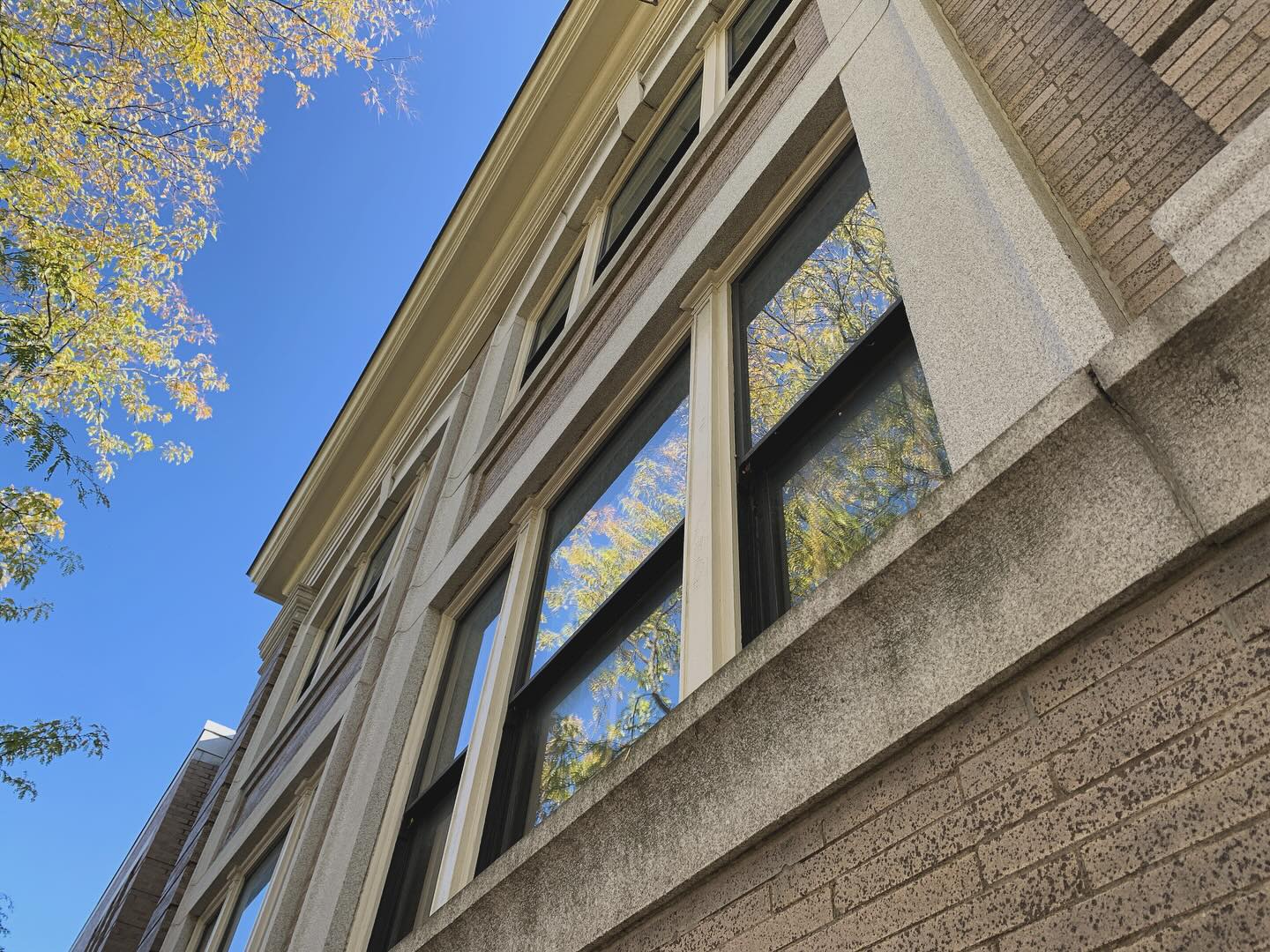 “I have always imagined that paradise will be a kind of library.” - Jorge Luis Borges