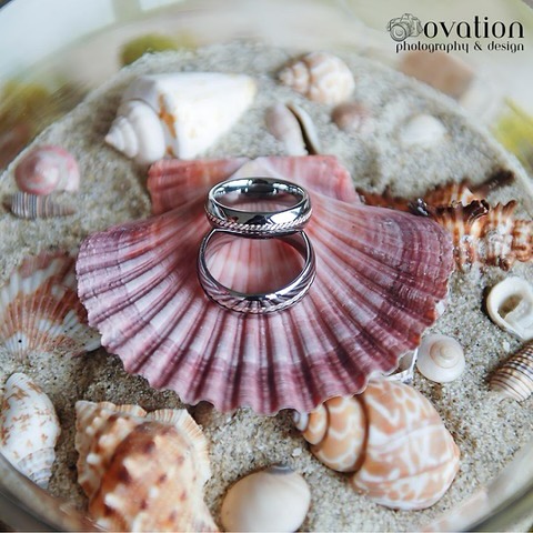 🌸 The Seashell Ring
Nestled within a delicate pink seashell, a wedding ring sparkled like the sun dancing on the water. Its brilliance echoed the promise of forever—a promise made under the summer sky.
And so, their summer love story unfolded—a symphony of seashells, sunsets, and stolen glances. As a wedding photographer, I thrive on these intimate details—the unspoken words, the fleeting touches.
If you’re ready to capture your own love story, reach out. Let’s create magic together.
Remember, every frame holds a piece of eternity. 📸💕 #weddingring #weddingday #wedding #ovationphotographyanddesign #weddingphotography #weddingphotographer #weddingbells #destinationweddingphotographer #destinationwedding #ido #shesaidyes #destinationweddingphotography