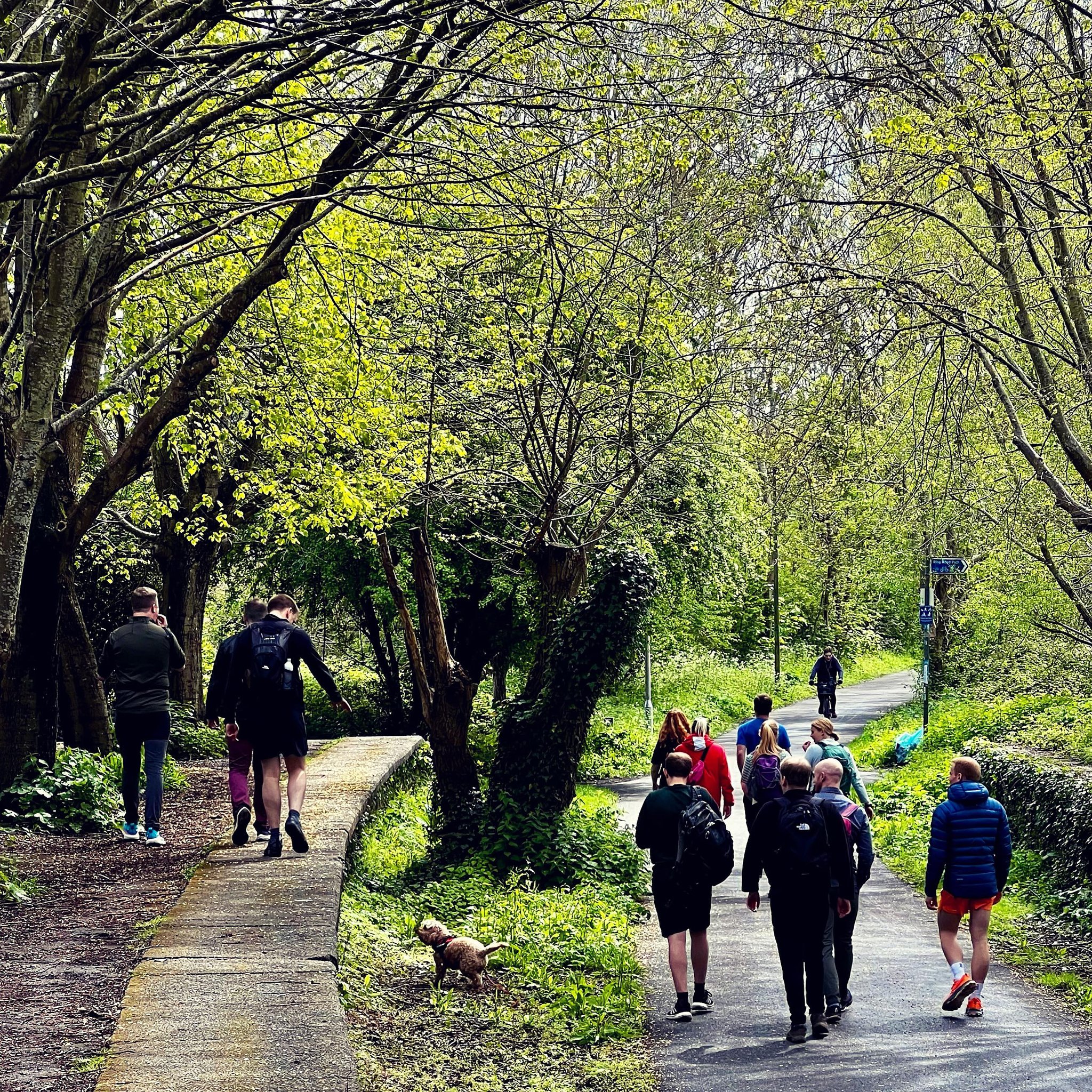 Sunday walks in Spring with the crew 🧡🥾☕️🍰🦮 #BetterTogether