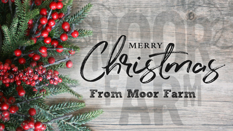 Moor Farm SHOP is now closed for Christmas and will re-open on the 10th of January 2025.
Moor Farm CAFE is open as usual through the holiday season with the exceptions of Christmas Day, Boxing Day and New Year's Day.
Merry Christmas Everyone! 🎄⭐