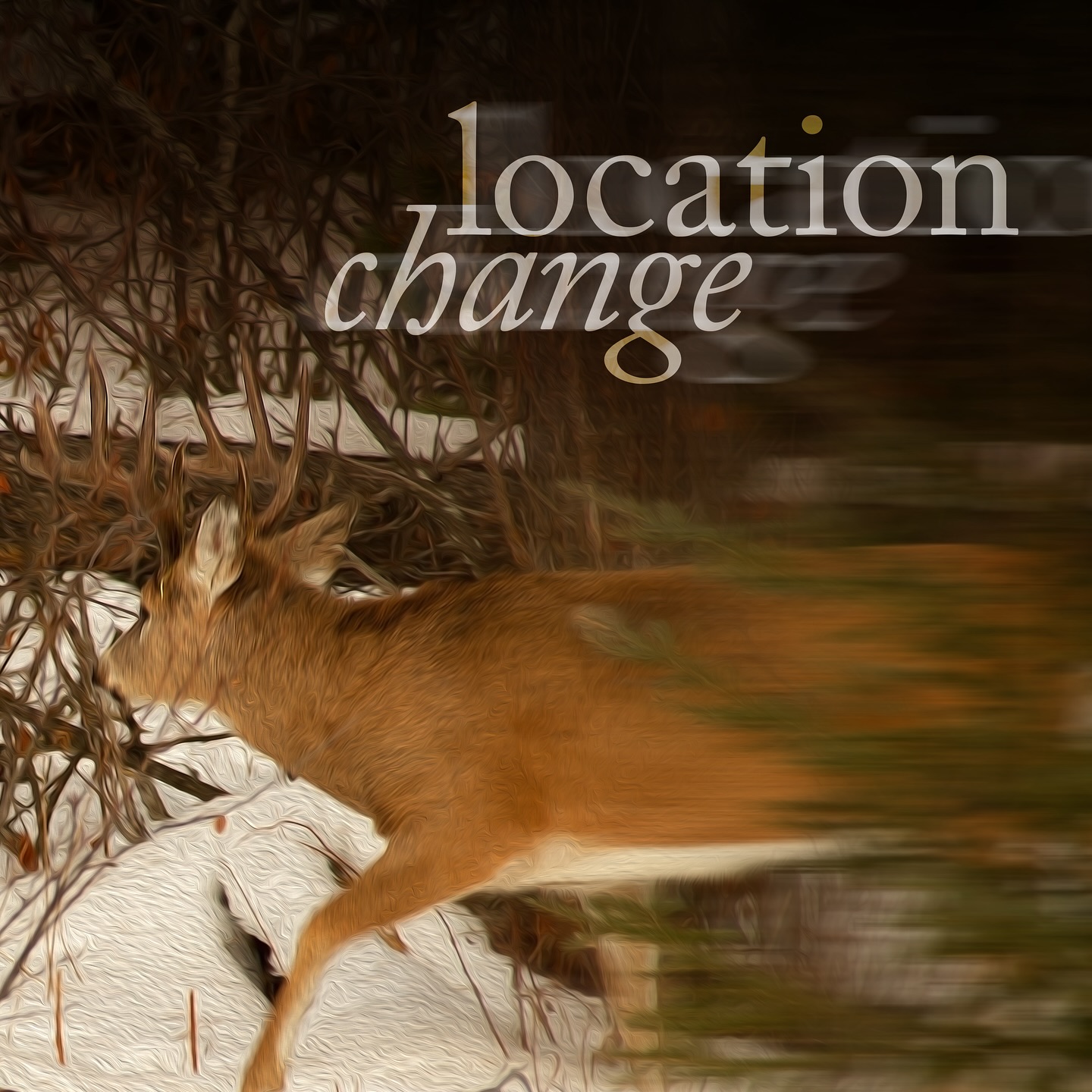 Just a reminder that tomorrow (Nov 19) our service will be held at the Snowbirds Chalet (19 Balsam Ave, just past the Bragg Creek Shopping Centre) at 10am.
Also: Our service December 3 will be held at Camp Horizon on Hwy 66 just SW of Bragg Creek at 10am.