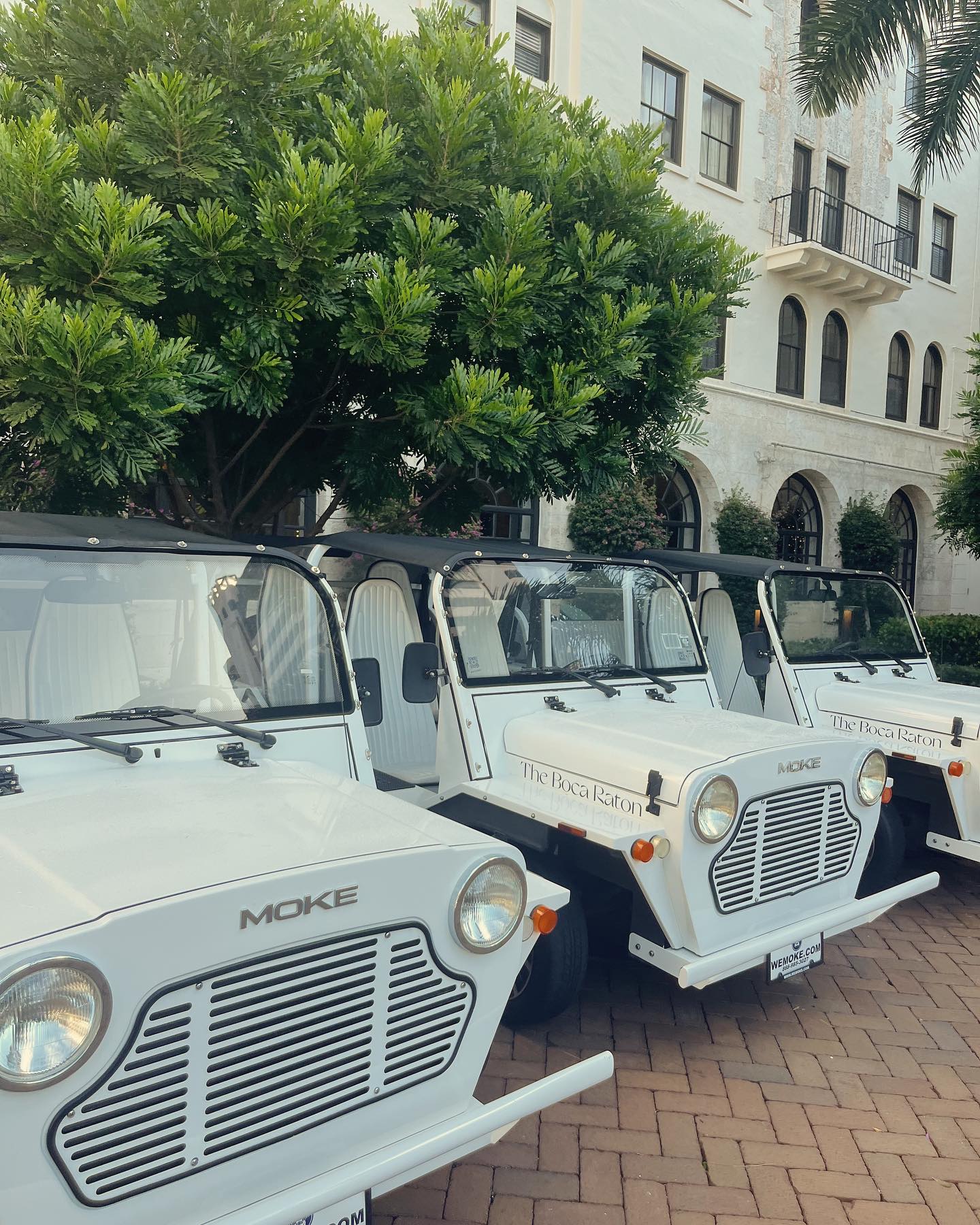 Attended a wondering event hosted by @kempinski where we learned of updates of their worldwide properties from their General Managers as well as hoteliers.
Enjoyed the festive holiday decor @thebocaraton #boca #hotel #virtuoso #travel#travelagent#florida