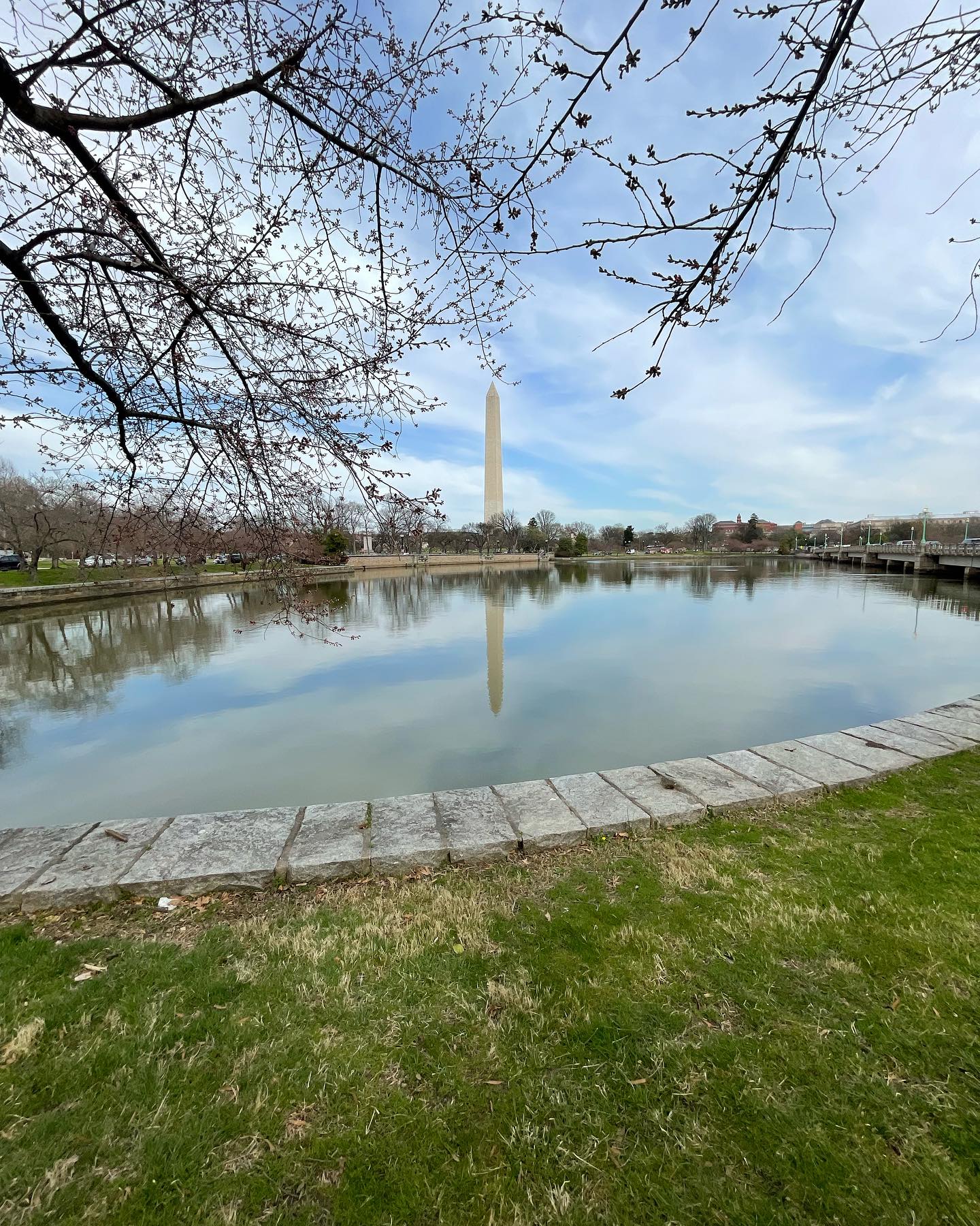 Spring is springing🕺🌱
#battleofthebandsstateoftheunion #gottashipmycoatshome