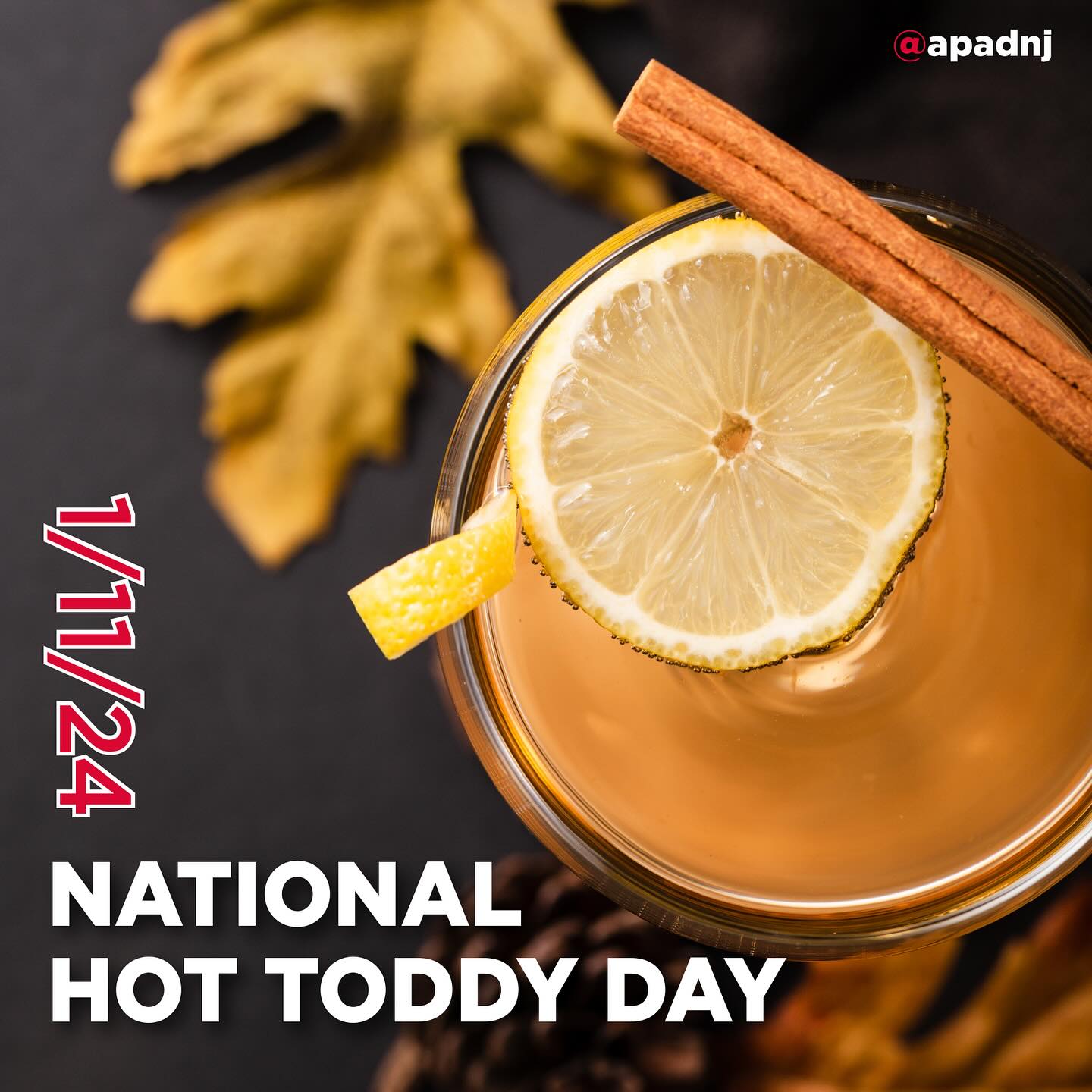 Hot toddies, which are celebrated today, are alcoholic drinks whose ingredients can be easily tweaked, and they have a murky history. They are often drank as nightcaps, and are a winter favorite, often being drank when it is cold and wet. Some people also believe they help cure or suppress flus and colds.
Hot Toddies usually consist of a certain amount of ingredients, but there is much variance in how they can be made. They consist of a liquor, which is usually whiskey, rum, or brandy; water with honey—or sometimes sugar; lemon juice or slices; and herbs and spices such as cinnamon, cloves, nutmeg, and anise. They may be made with tea instead of water, and are served hot. The ingredients may vary because of nearby traditions or what is available locally. In New England, maple syrup is sometimes used instead of honey. A version in the Midwest uses ginger ale, honey, lemon, and bourbon whiskey. In the American South, bourbon is usually used, but in Wisconsin, brandy is often used instead. Naturally, in Ireland, Irish whiskies are used, and in Scotland, hot toddy drinkers prefer scotch.
Enjoy a hot toddy on a cold winter day like today!
#nationalhottoddyday