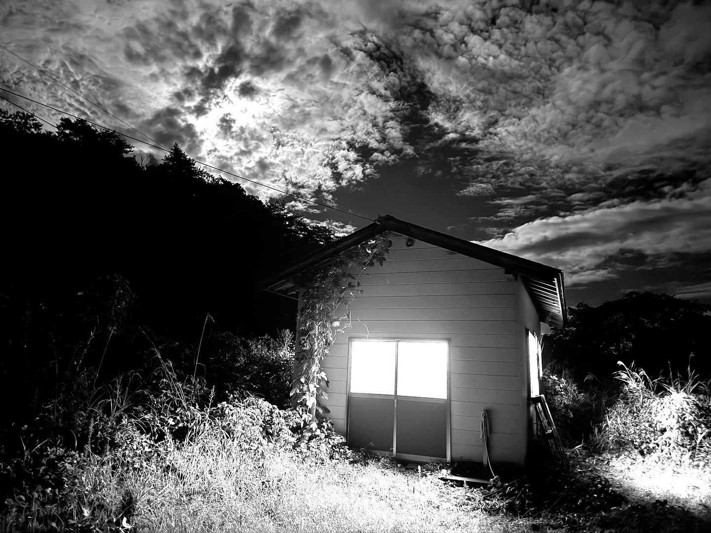 _Début du grand ménage
なんでも始まりは大掃除です。ヤマブドウ畑を目の前にする農具入れ倉庫の中から重たい農具を移動させ、ブロワーでゴミを吐き出し、掃除機をかけて、何度も何度も雑巾がけ。泥だらけにゴミだらけになって、ようやく住めそうな拠点が完成しました。吉と一緒にこの電波も届かない小屋で暮らし、修行に勤しむ日々が始まりました。
Every beginning is a deep clean. We cleared out the heavy tools from the shed facing the wild grapevines, blew out the dust, vacuumed, and wiped it down again and again. Covered in mud and debris, we finally made it livable. Now, with Kichi by my side, the days of training in this humble shelter have begun.
【莉蕾|ReLive vine】
岡山県高梁市でぶどう農家をしている @itsuki_ll が、ワインの風景を歩んでいく日々を記録。現在樹齢と研修一年目。蕾から美しい花が生まれるように、いつの日か、この日々が、ワインやその先の風景に繋がっていくようにという祈りを込めて「莉蕾(りらい)」と名付けた。
ReLive vine with @itsuki_ll documents the daily life of a grape farmer in Takahashi City, Okayama, Japan, as they walk alongside wine. Currently in the first year of both vine age and training, the hope is to one day create grapes and wines that evoke the memory of the landscape. With a prayer that this will eventually lead to an unrecognizable landscape, the endeavor was named "ReLive vine".
#ワイン #農家 #醸造 #ぶどう #農業 #自然 #秋田犬 #甲斐犬 #岡山 #日本の風景 #Wine #Winemaking #Grapes #Farming #Nature #Akita #KaiKen #JapaneseLandscape #Vin #Vinification #Raisin #Agriculture #ChienAkita #ChienKai