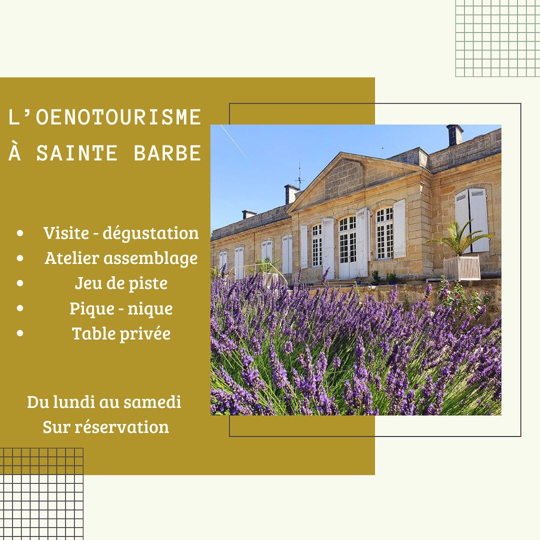 L’été touche à sa fin, mais nos activités oenotouristiques sont disponibles toute l’année ! 🍇
- Visite - dégustation
- Atelier assemblage
- Jeu de piste
- Pique - nique au château
- Table privée