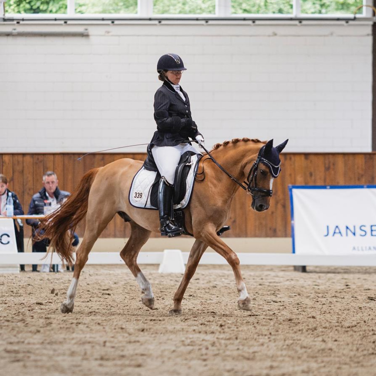 Turniererfolge - Nachtrag 🐴
Daniela und ihr Crown Dundee wurden 🥉im Para Grand Prix beim Bexter Hof Open Turnier (7,3).
Lou platzierte sich mit ihrer Balou in ihrem ersten gemeinsamen Stil-E Springen in Clarholz-Lette (7,7).
Herzlichen Glückwunsch! 💛
